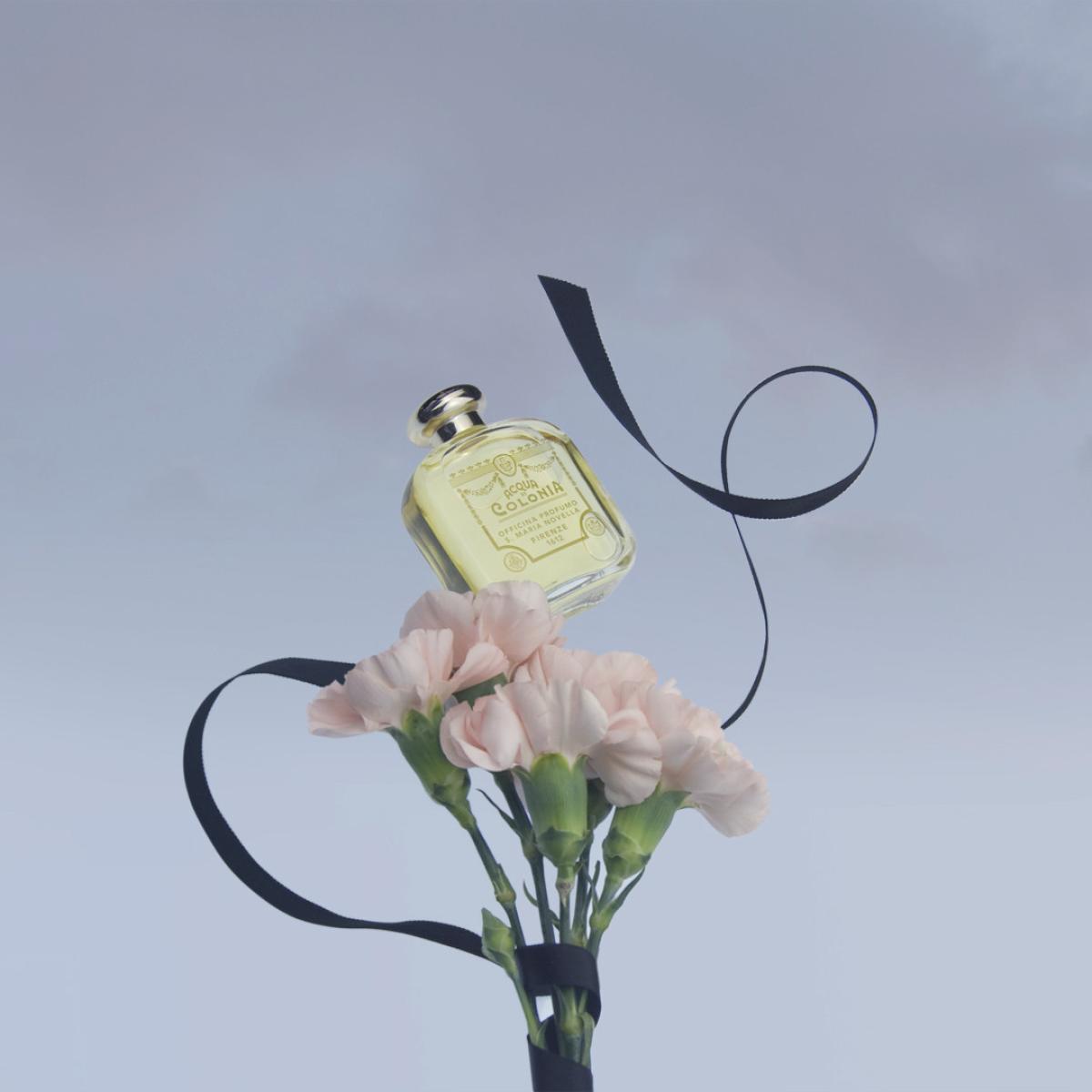 عطر ادکلن گاروفانو سانتا ماریا نولا - Garofano (Carnation) Santa Maria Novella - بررسی، قیمت و خرید