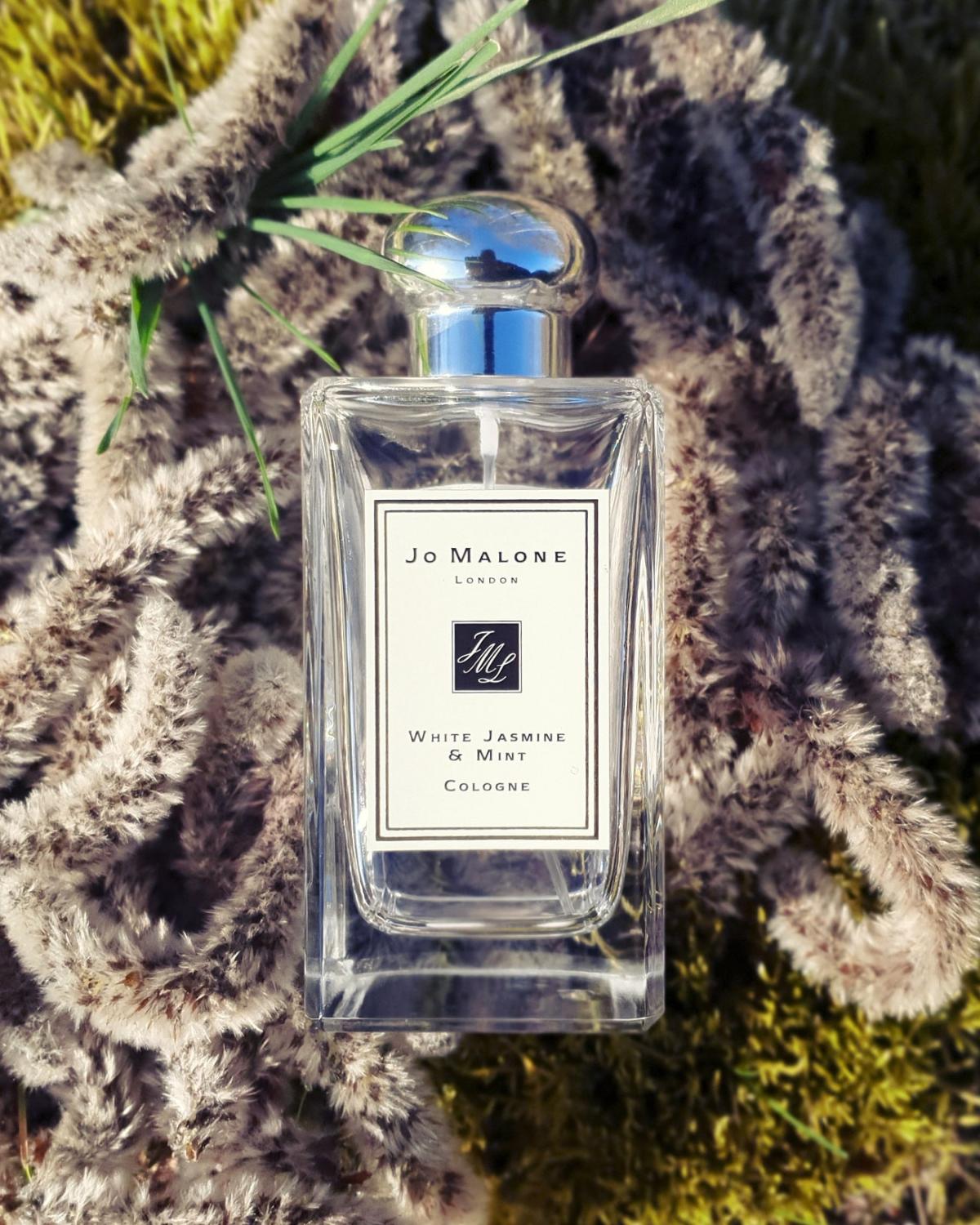 عطر ادکلن وایت جاسمین اند مینت جو مالون لندن - White Jasmine & Mint Jo Malone London - بررسی، قیمت و خرید