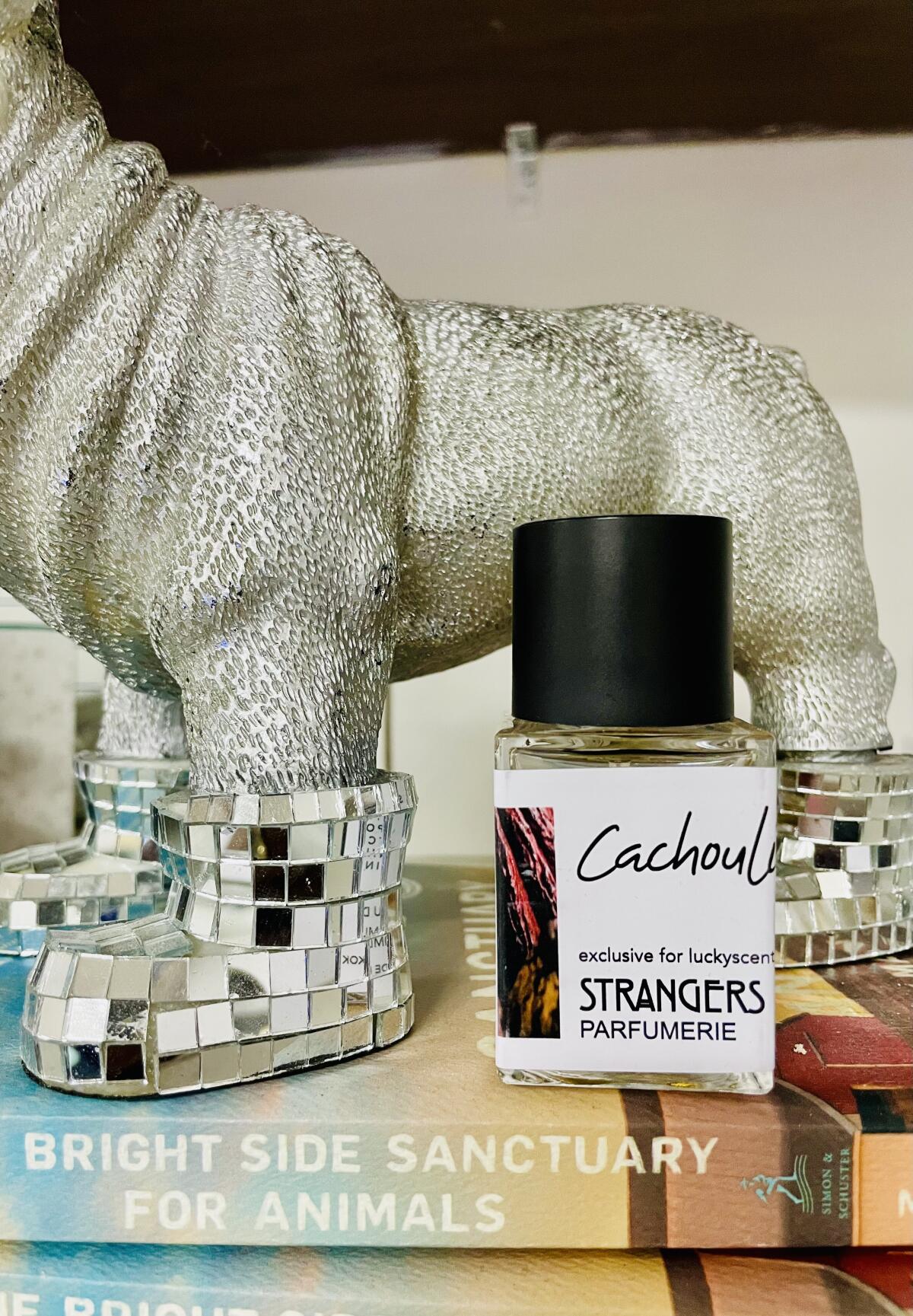 عطر ادکلن کچولی استرنجرز پرفیومری - Cachouli Strangers Parfumerie - بررسی، قیمت و خرید