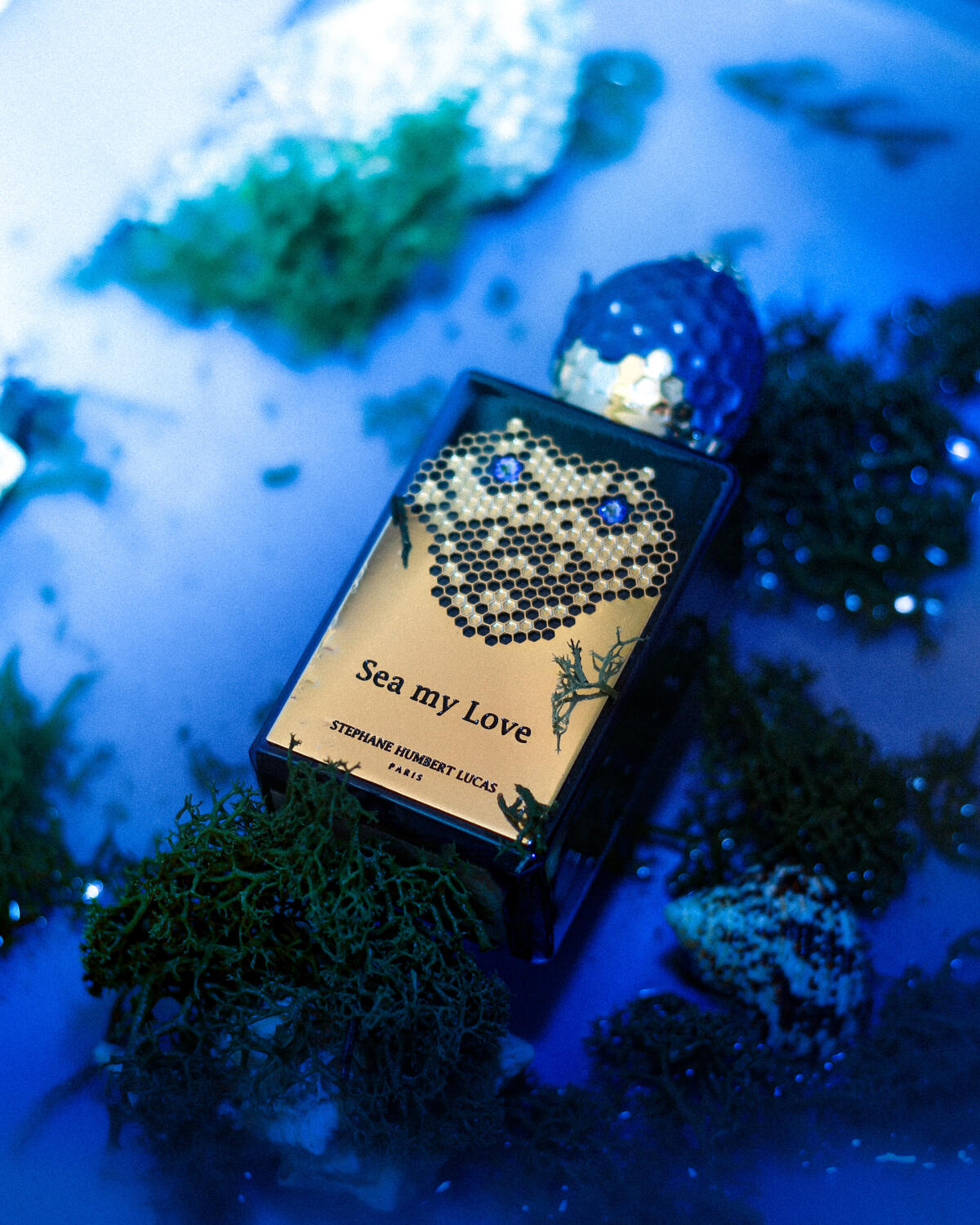 عطر ادکلن سی مای لاو استفان هامبرت لوکاس ۷۷۷ - Sea My Love Stéphane Humbert Lucas 777 - بررسی، قیمت و خرید