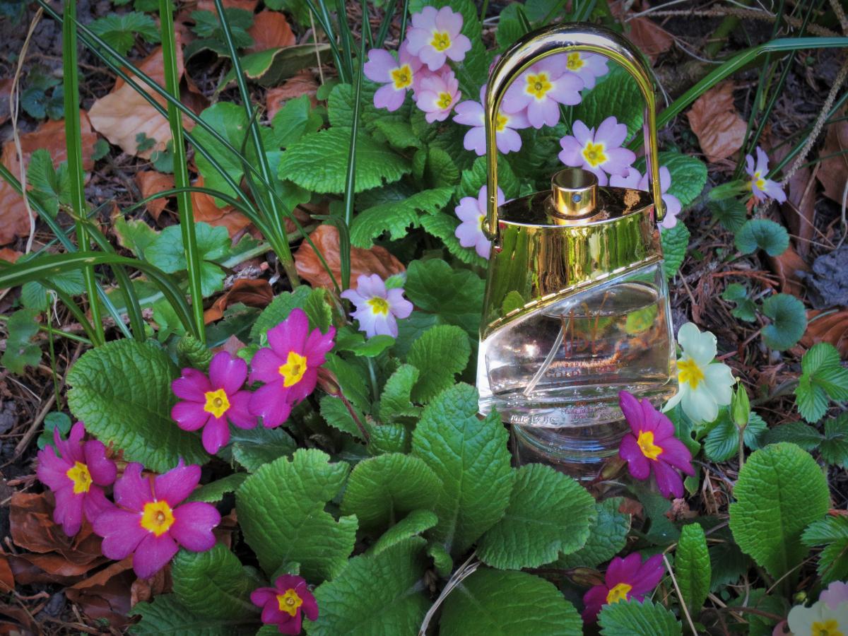 عطر ادکلن گلد ایسی‌م اولریک دو ورنس - Gold Issime Ulric de Varens - بررسی، قیمت و خرید