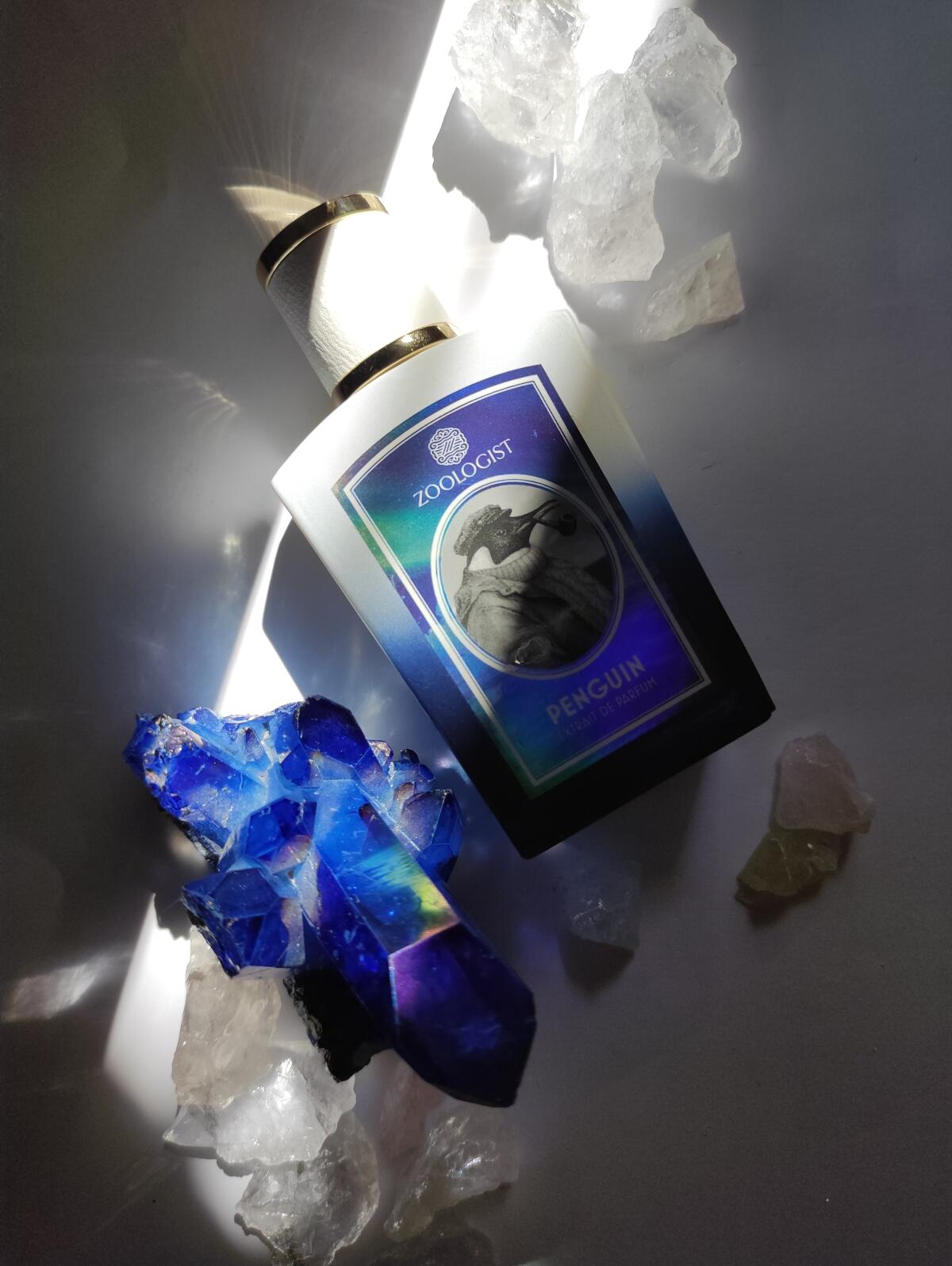 عطر ادکلن پنگوئن زئولوژیست پرفیومز - Penguin Zoologist Perfumes - بررسی، قیمت و خرید