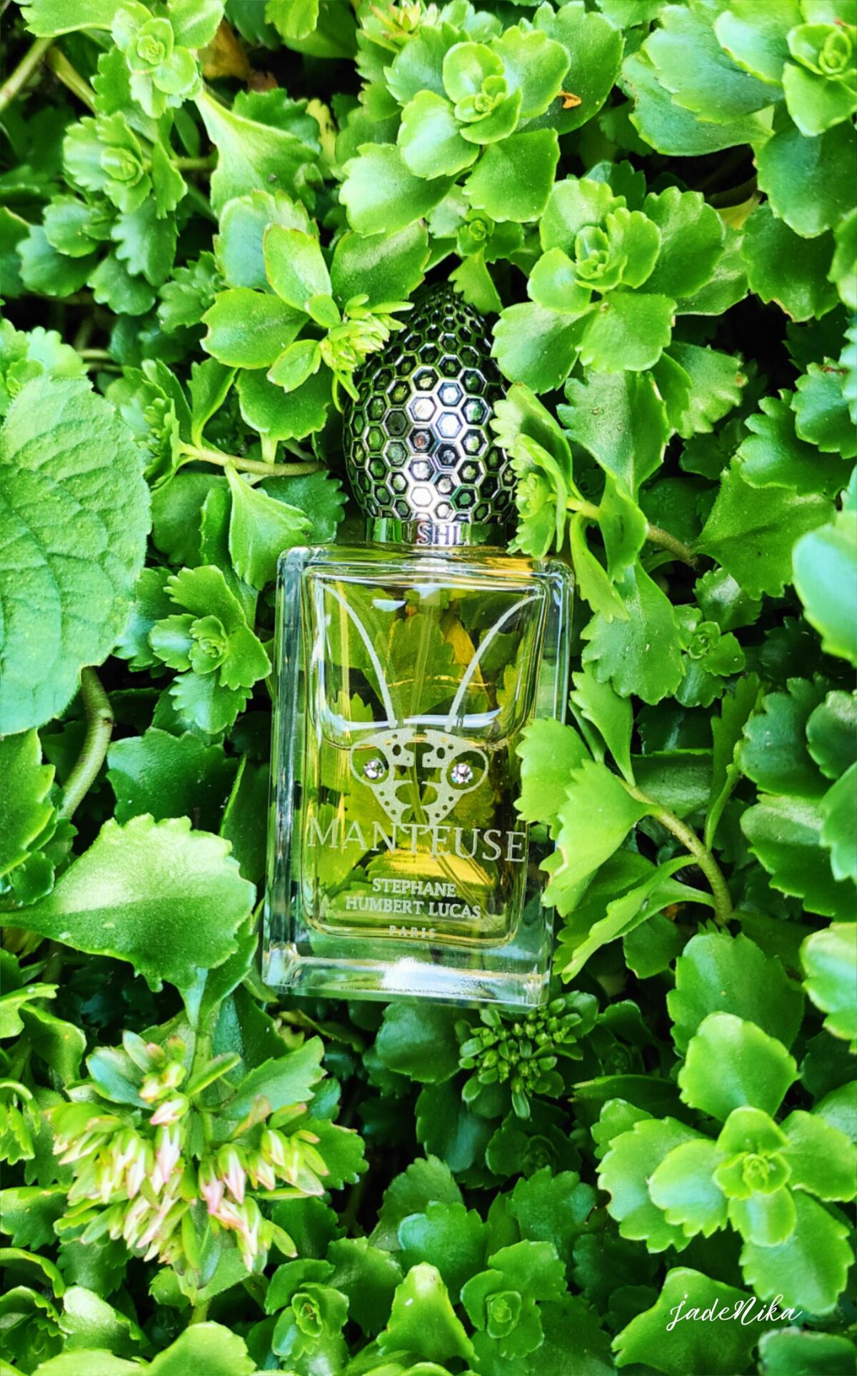 عطر ادکلن منتوز استفان هامبرت لوکاس ۷۷۷ - Manteuse Stéphane Humbert Lucas 777 - بررسی، قیمت و خرید
