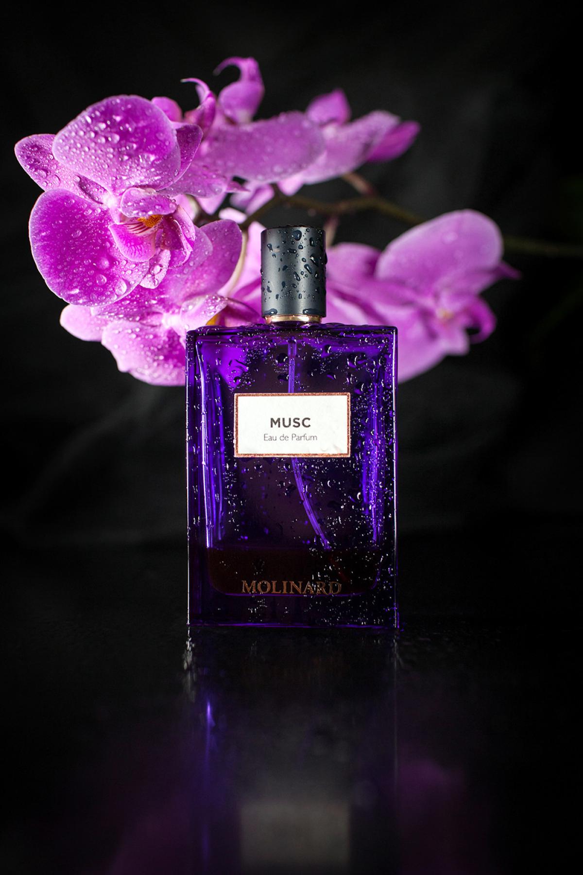 عطر ادکلن ماسک ادو پرفیوم مولینارد - Musc Eau de Parfum Molinard - بررسی، قیمت و خرید