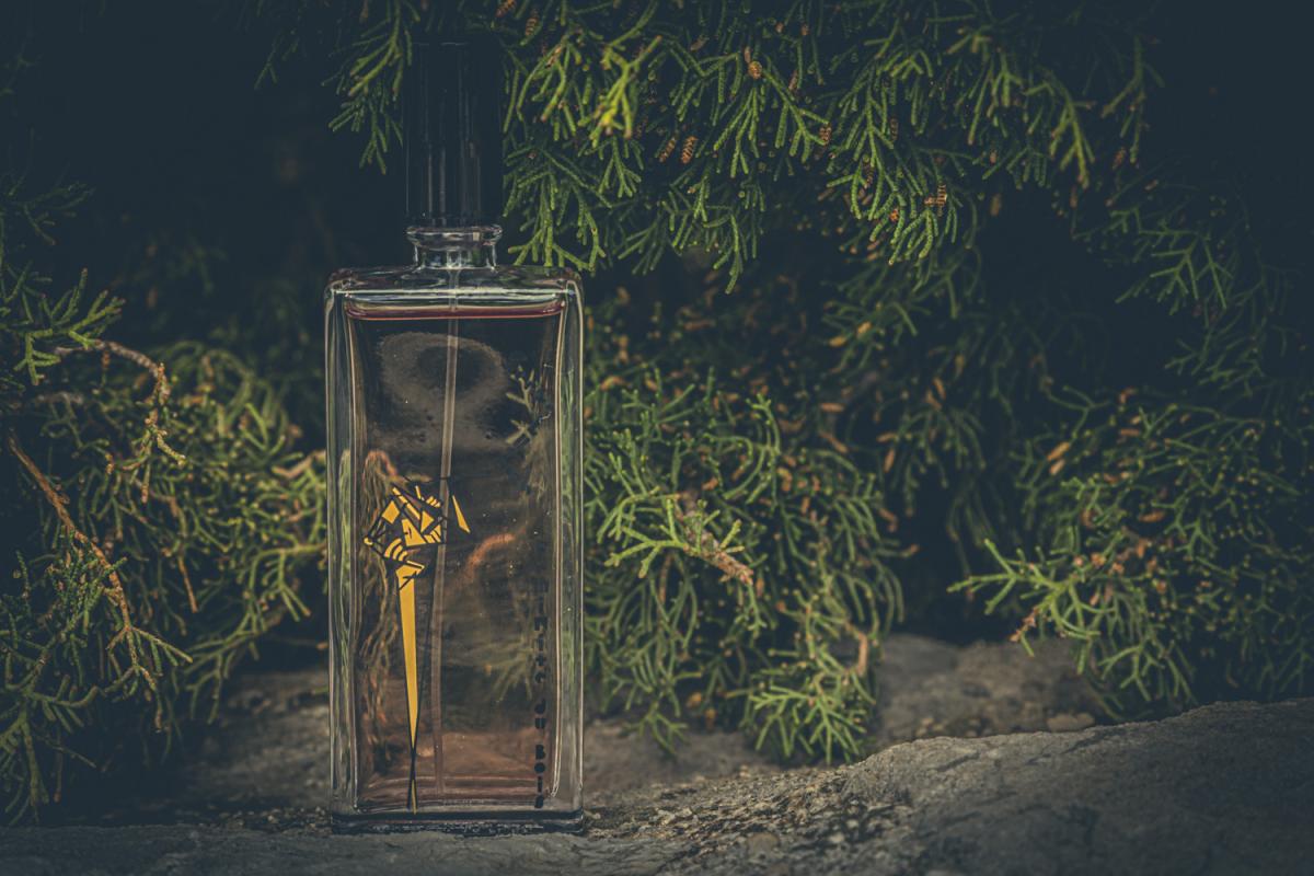 عطر ادکلن فمینیتی دو بوا لیمیتد ادیشن سرژ لوتنس - Feminité du Bois Limited Edition Serge Lutens - بررسی، قیمت و خرید