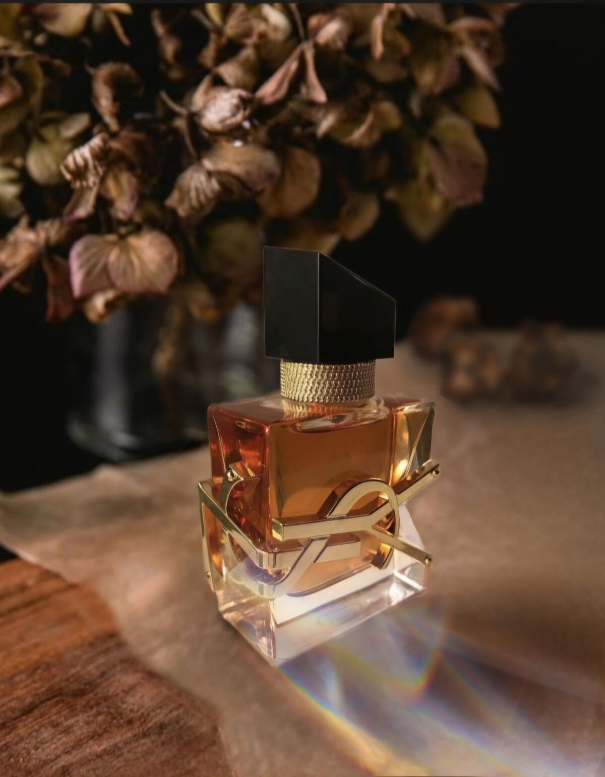 عطر ادکلن لیبر له پارفوم ایو سن لوران - Libre Le Parfum Yves Saint Laurent - بررسی، قیمت و خرید