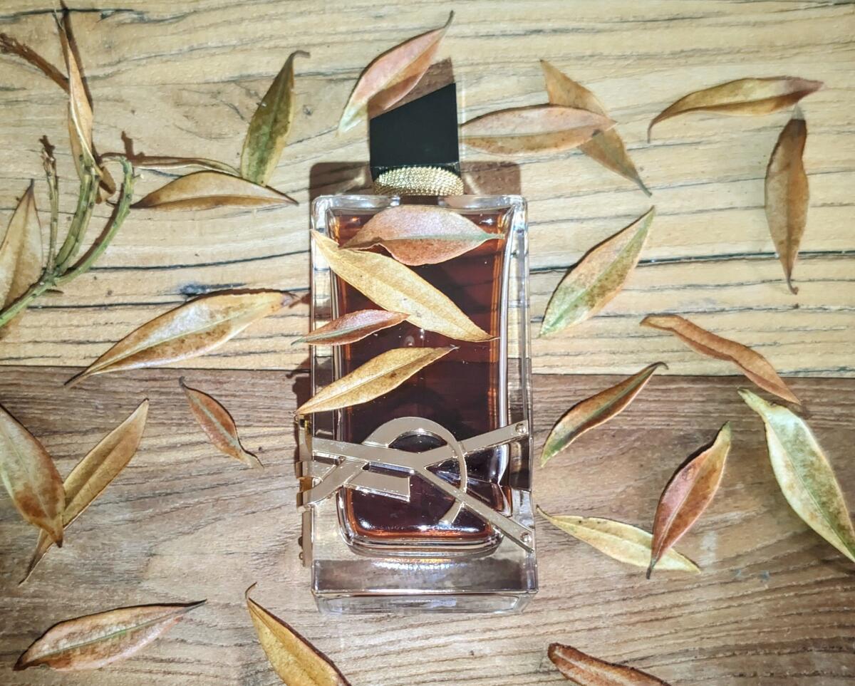 عطر ادکلن لیبر له پارفوم ایو سن لوران - Libre Le Parfum Yves Saint Laurent - بررسی، قیمت و خرید