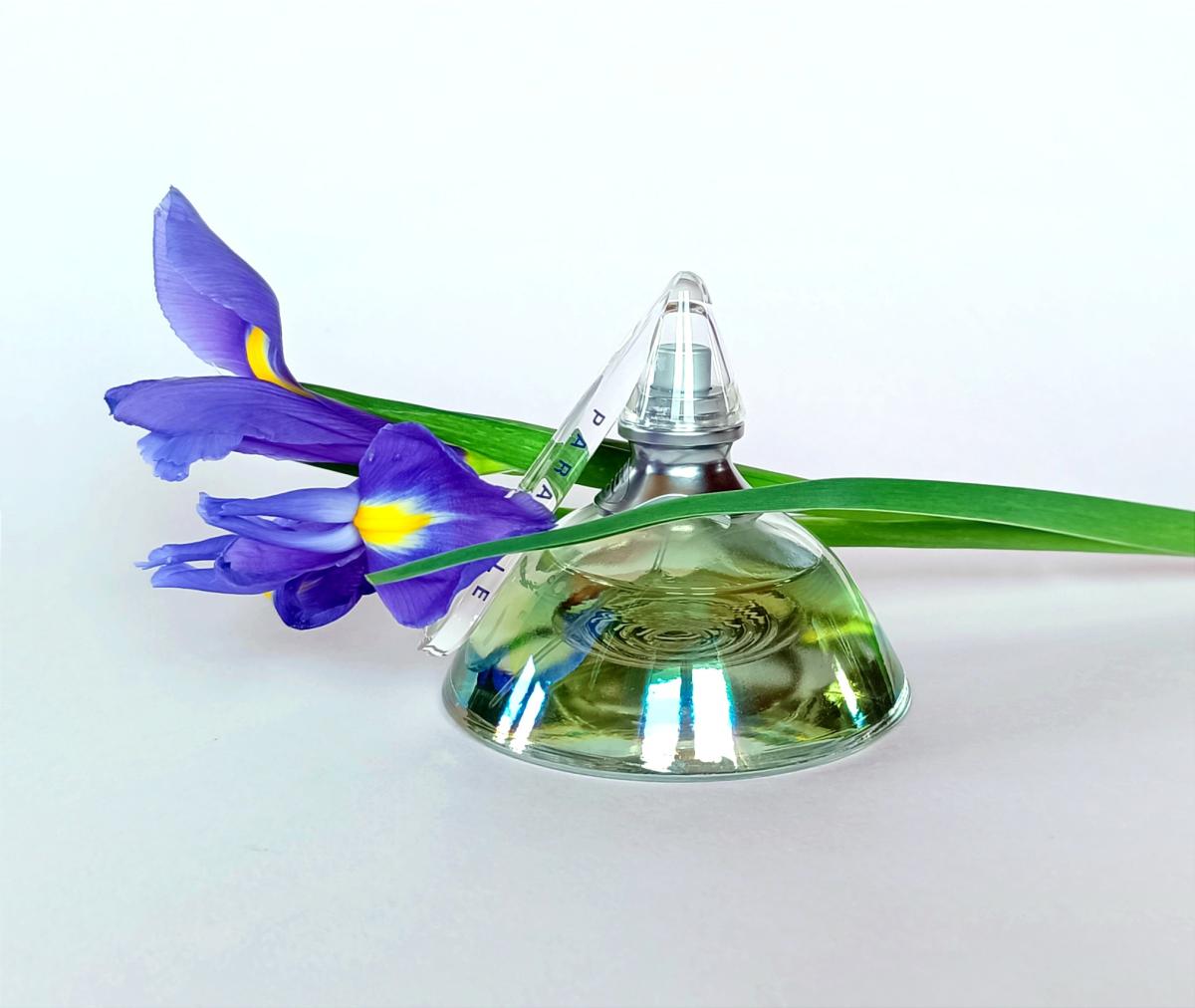 عطر ادکلن پَرابُل ساکسس دو پاریس - Parabole Succes de Paris - بررسی، قیمت و خرید