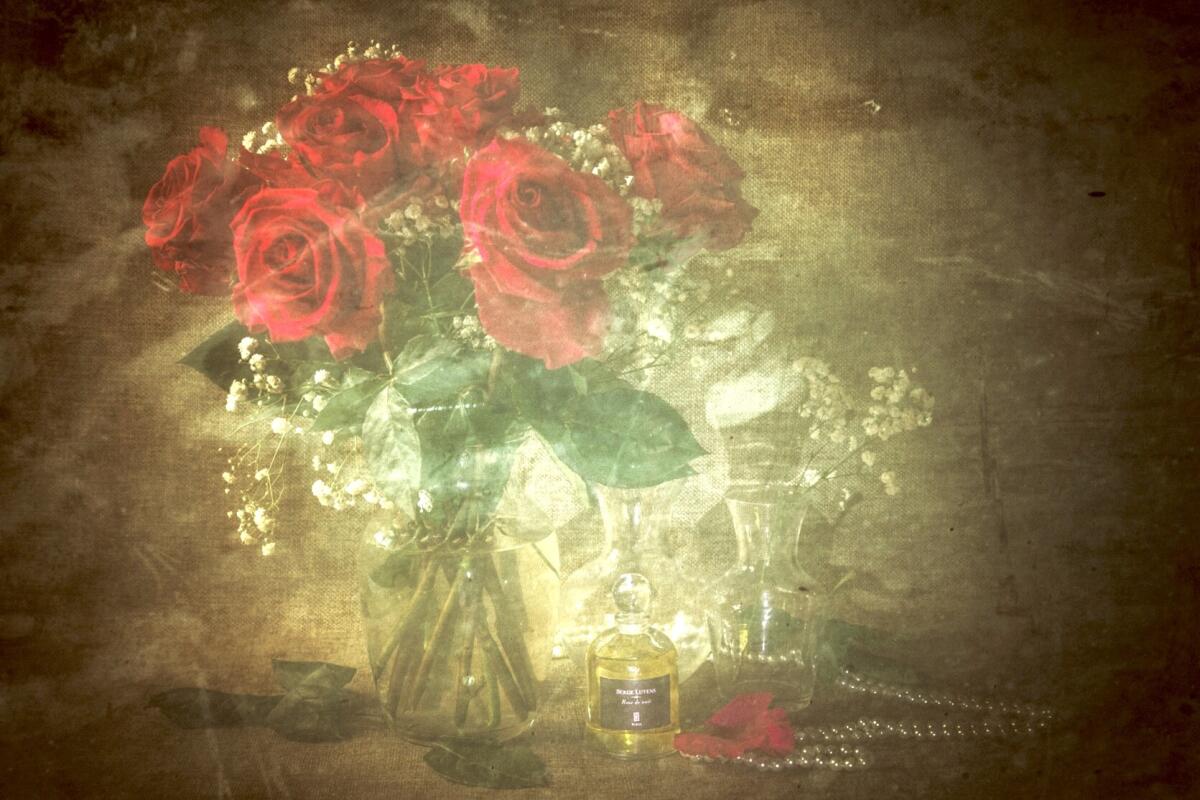 عطر ادکلن روز د نویی سرژ لوتنس - Rose de Nuit Serge Lutens - بررسی، قیمت و خرید