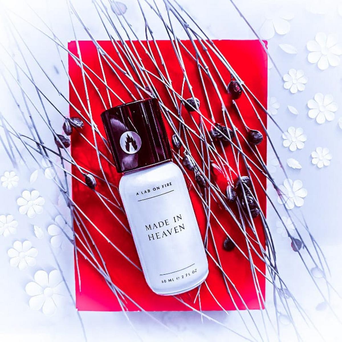 عطر ادکلن مِید اِن هِوِن وات وی دو ایز سیکرت - Made in Heaven What We Do Is Secret - بررسی، قیمت و خرید