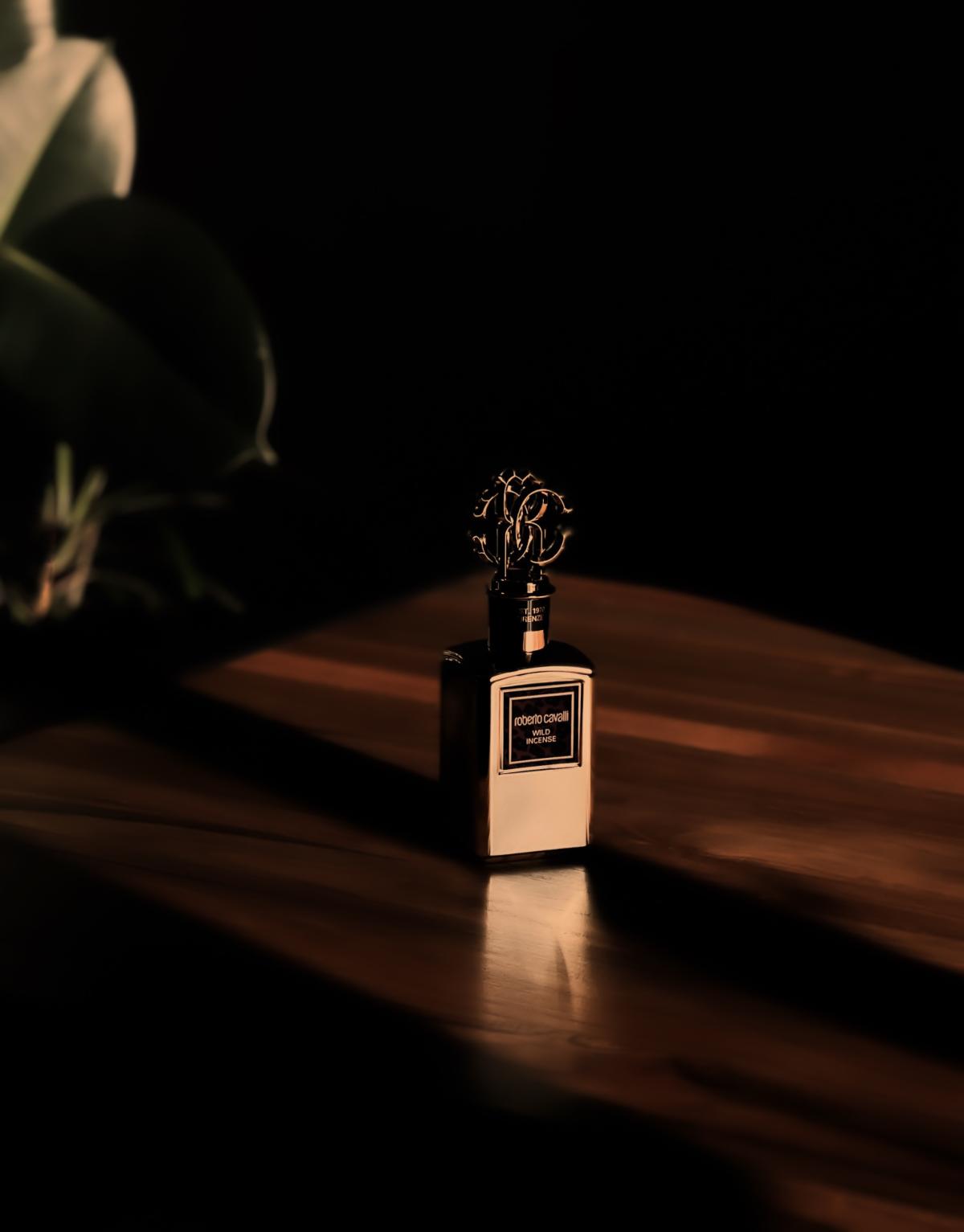 عطر ادکلن وایلد اینسنس روبرتو کاوالی - Wild Incense Roberto Cavalli - بررسی، قیمت و خرید