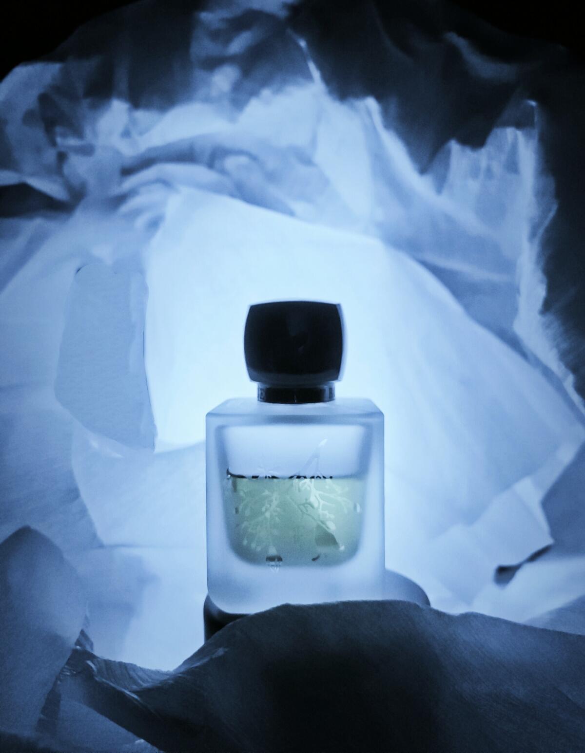 عطر ادکلن لیلْت روژ بانی روژ - Lilt Rouge Bunny Rouge - بررسی، قیمت و خرید