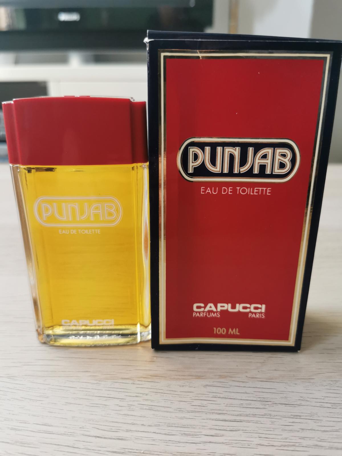 عطر ادکلن پنجاب روبرتو کاپوچی - Punjab Roberto Capucci - بررسی، قیمت و خرید