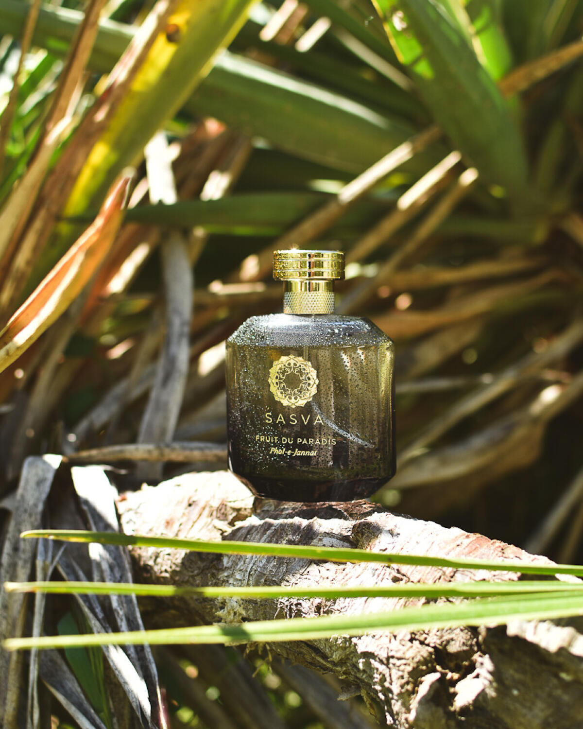 عطر ادکلن فروت دو پارادیس فال جنّت ساسوا - Fruit Du Paradis Phal-e-Jannat Sasva - بررسی، قیمت و خرید