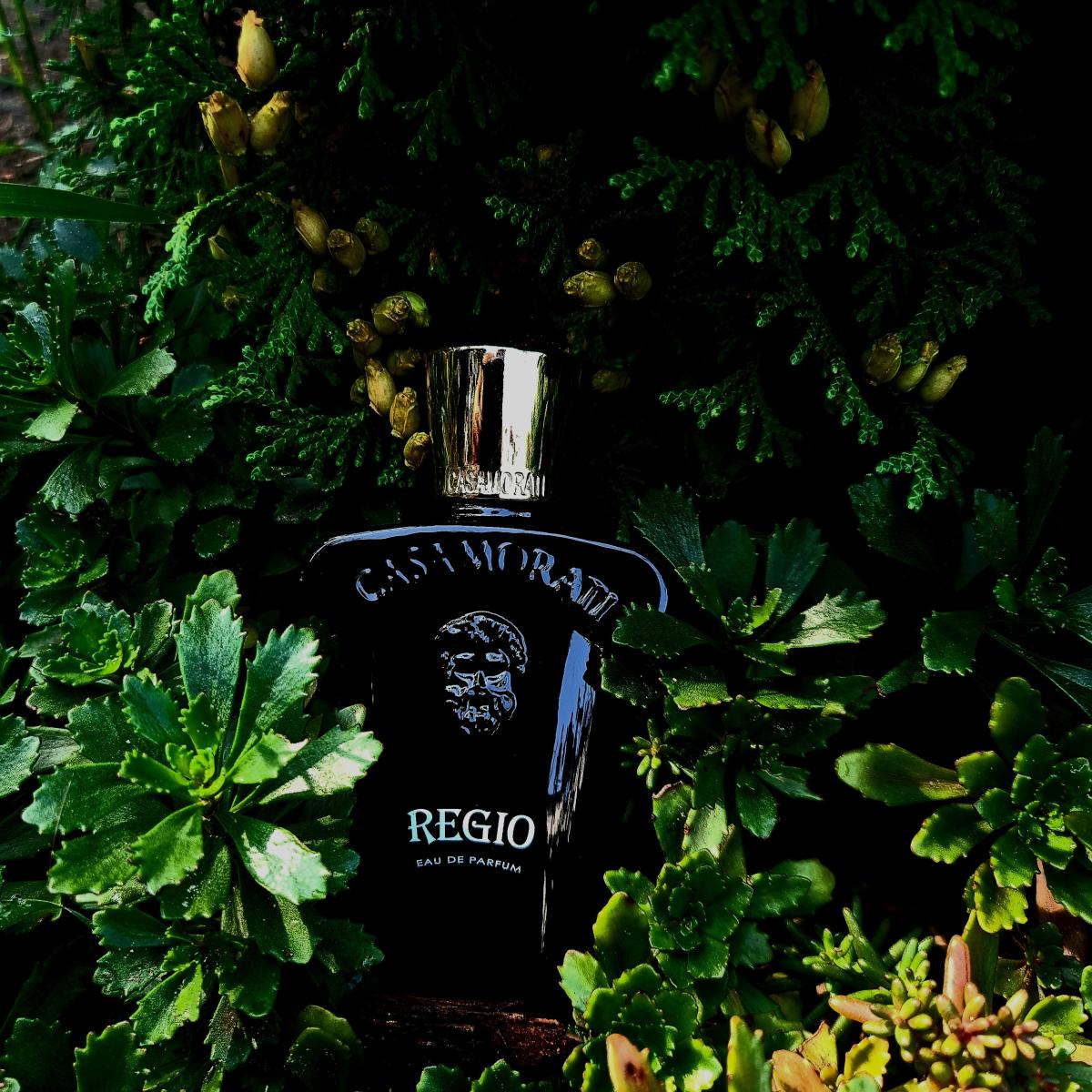عطر ادکلن رجیو زرژوف - Regio Xerjoff - بررسی، قیمت و خرید