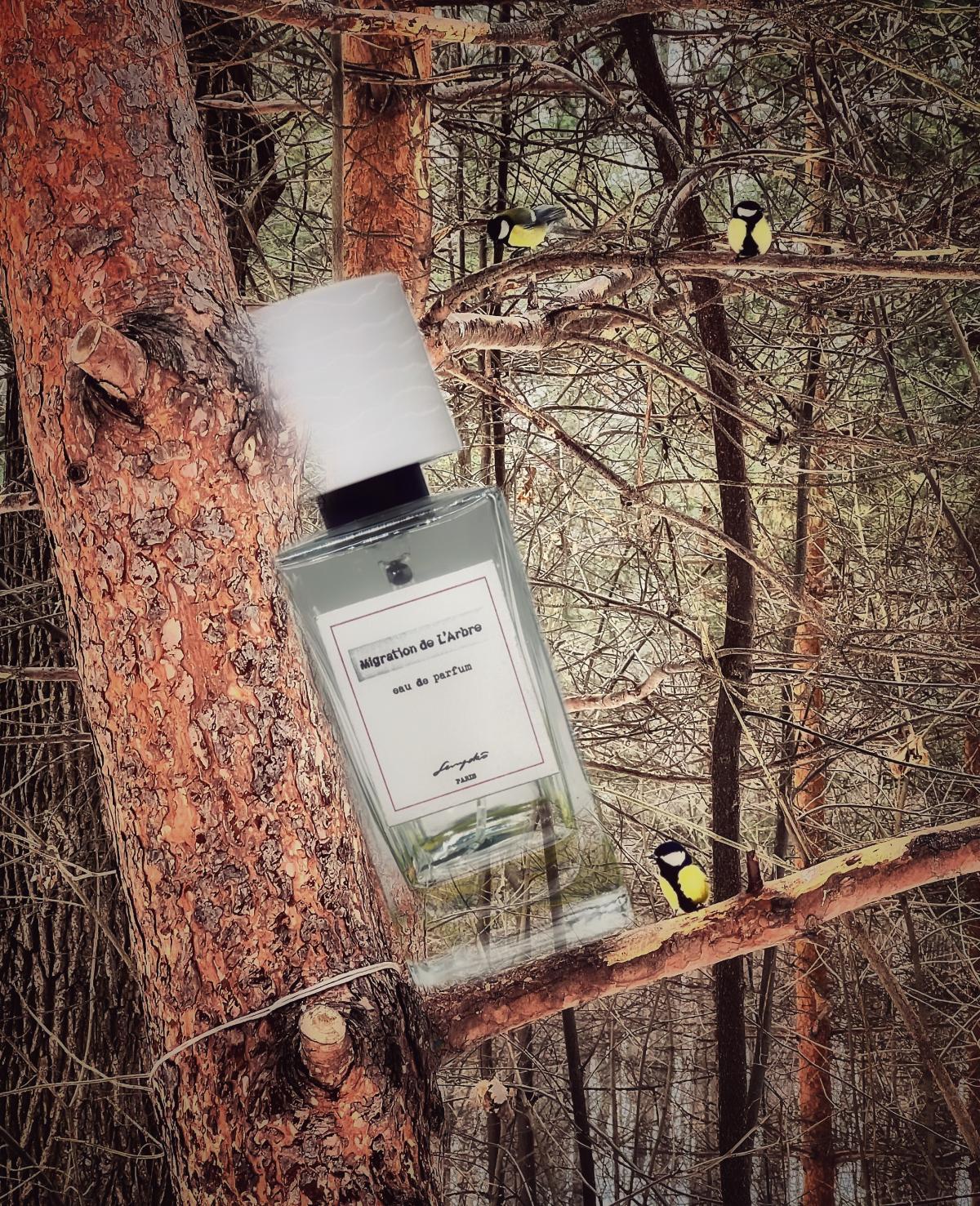 عطر ادکلن مایگریشن د لرب سنیوکو - Migration de L'Arbre Senyokô - بررسی، قیمت و خرید