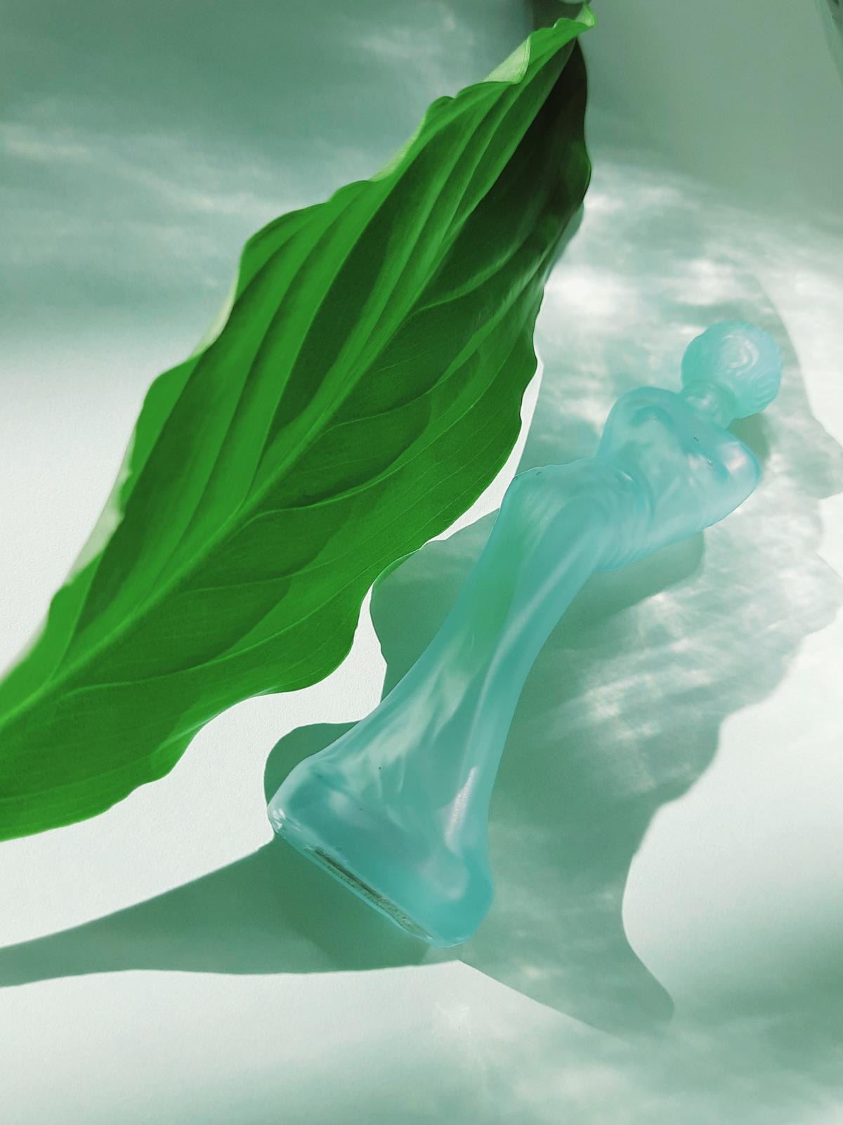 عطر ادکلن دالی‌استایل سالوادور دالی - Dalistyle Salvador Dali - بررسی، قیمت و خرید