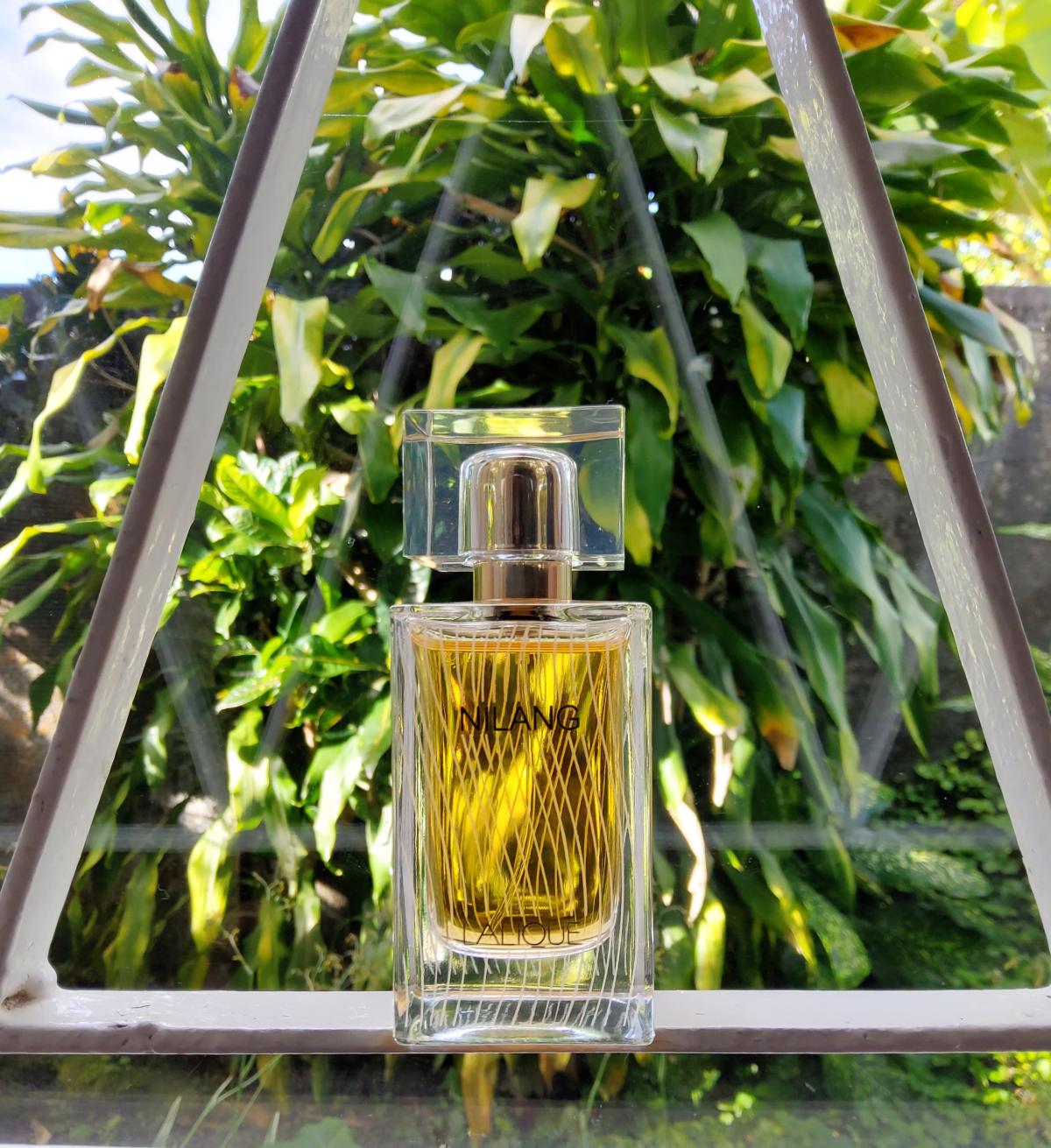 عطر ادکلن نیلنگ دویست و یازده لالیک - Nilang 2011 Lalique - بررسی، قیمت و خرید