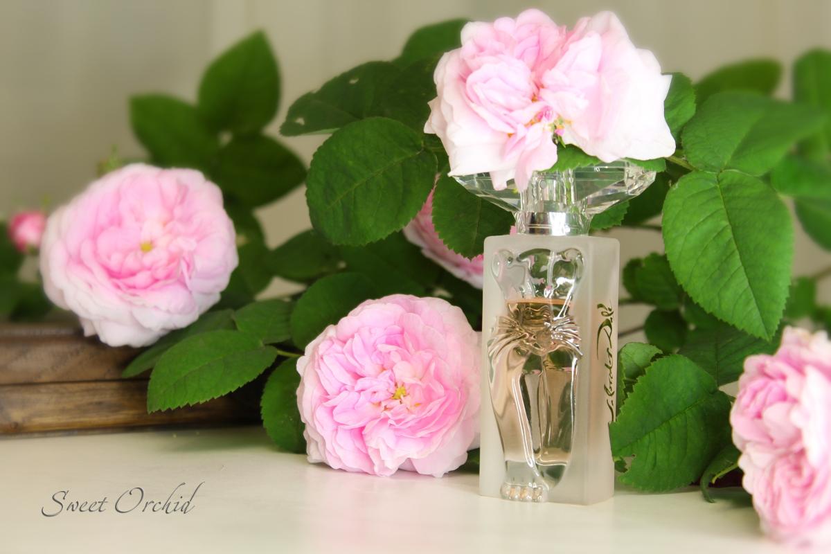 عطر ادکلن لابل او د تویلت سالوادور دالی - La Belle et l'Ocelot Eau de Toilette Salvador Dali - بررسی، قیمت و خرید