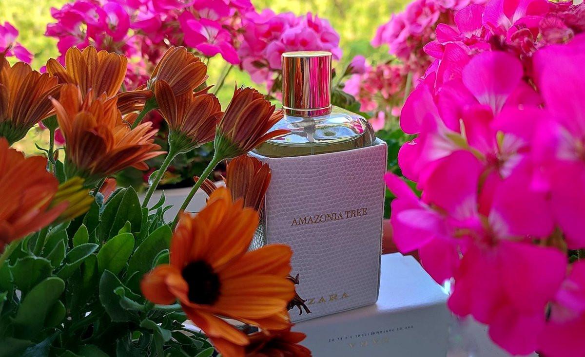 عطر ادکلن آمازونیا تری زارا - Amazonia Tree Zara - بررسی، قیمت و خرید