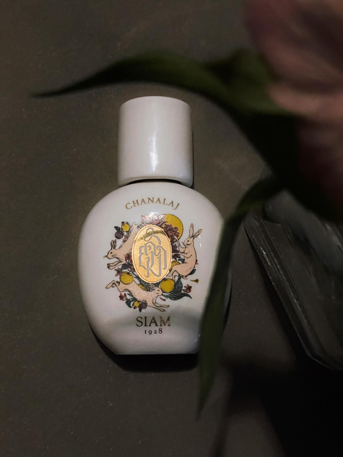 عطر ادکلن چنالاج سیام ۱۹۲۸ - Chanalaj SIAM 1928 - بررسی، قیمت و خرید