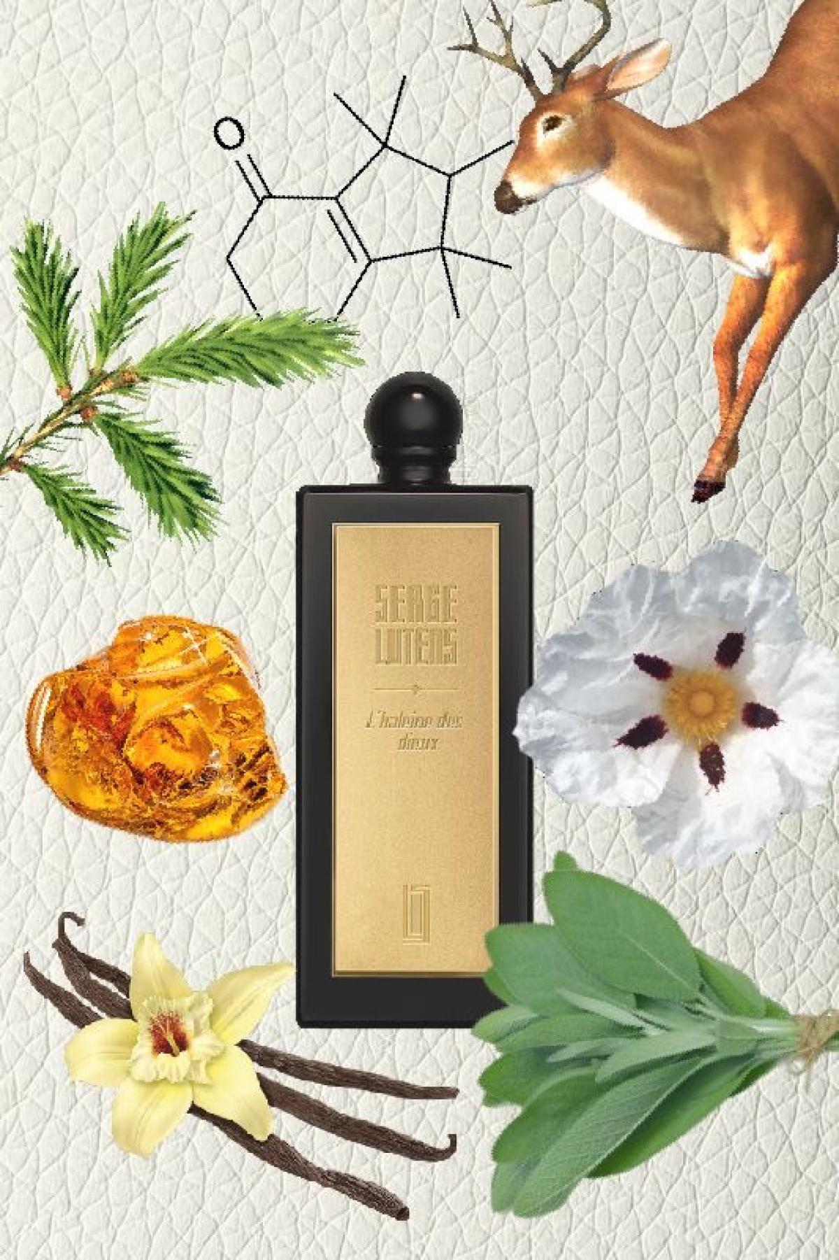 عطر ادکلن الهلن د دیو سرژ لوتنس - L'Haleine des Dieux Serge Lutens - بررسی، قیمت و خرید