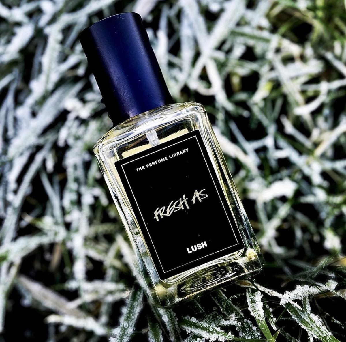 عطر ادکلن فرش از لاش - Fresh As Lush - بررسی، قیمت و خرید