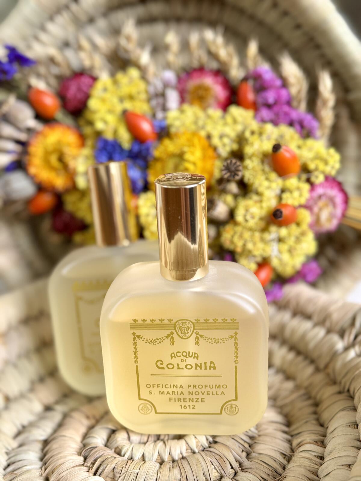 عطر ادکلن گاردنیا سانتا ماریا نوولا - Gardenia Santa Maria Novella - بررسی، قیمت و خرید