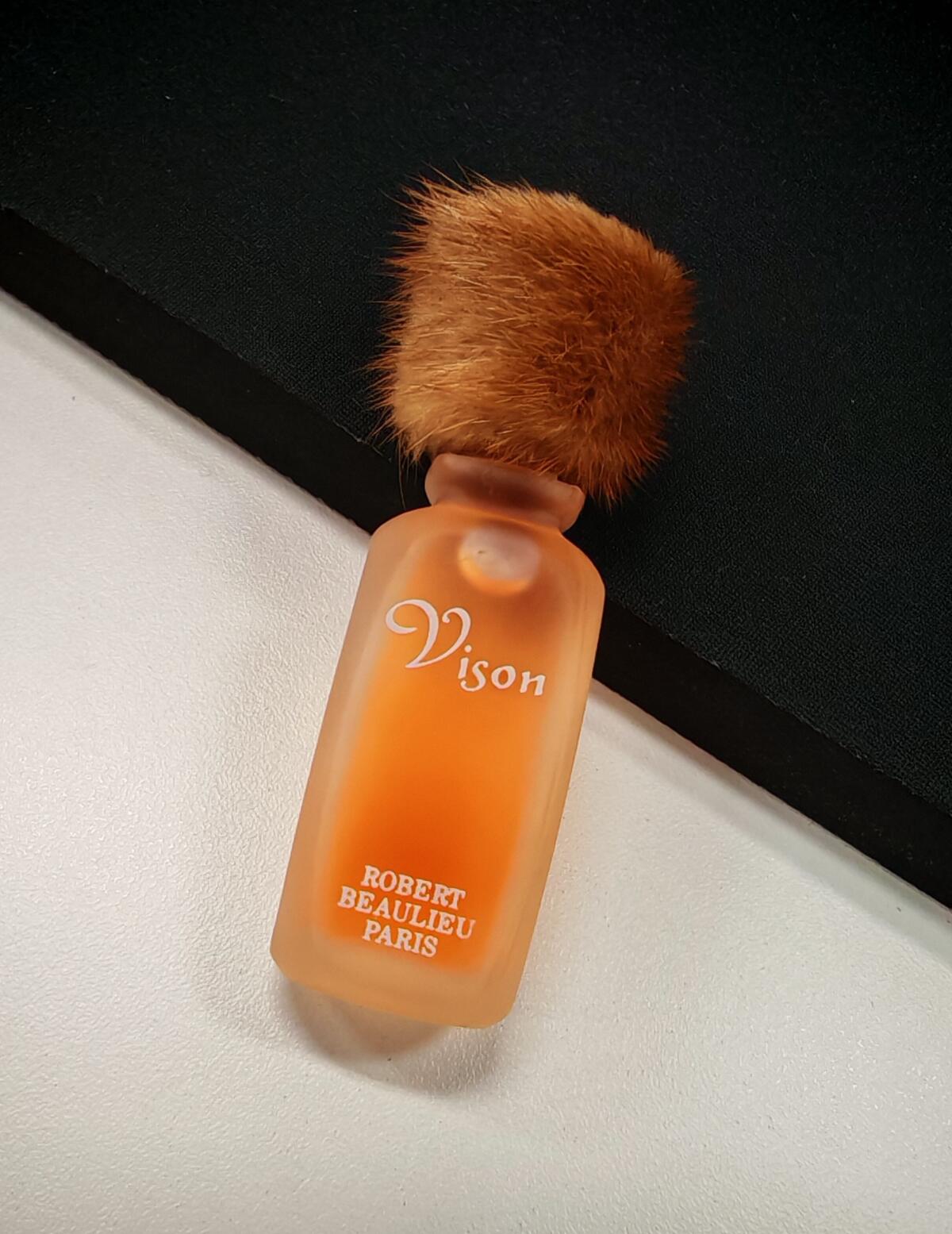 عطر ادکلن ویژن ادوتویلت رابرت بولیو - Vison EDT Robert Beaulieu - بررسی، قیمت و خرید