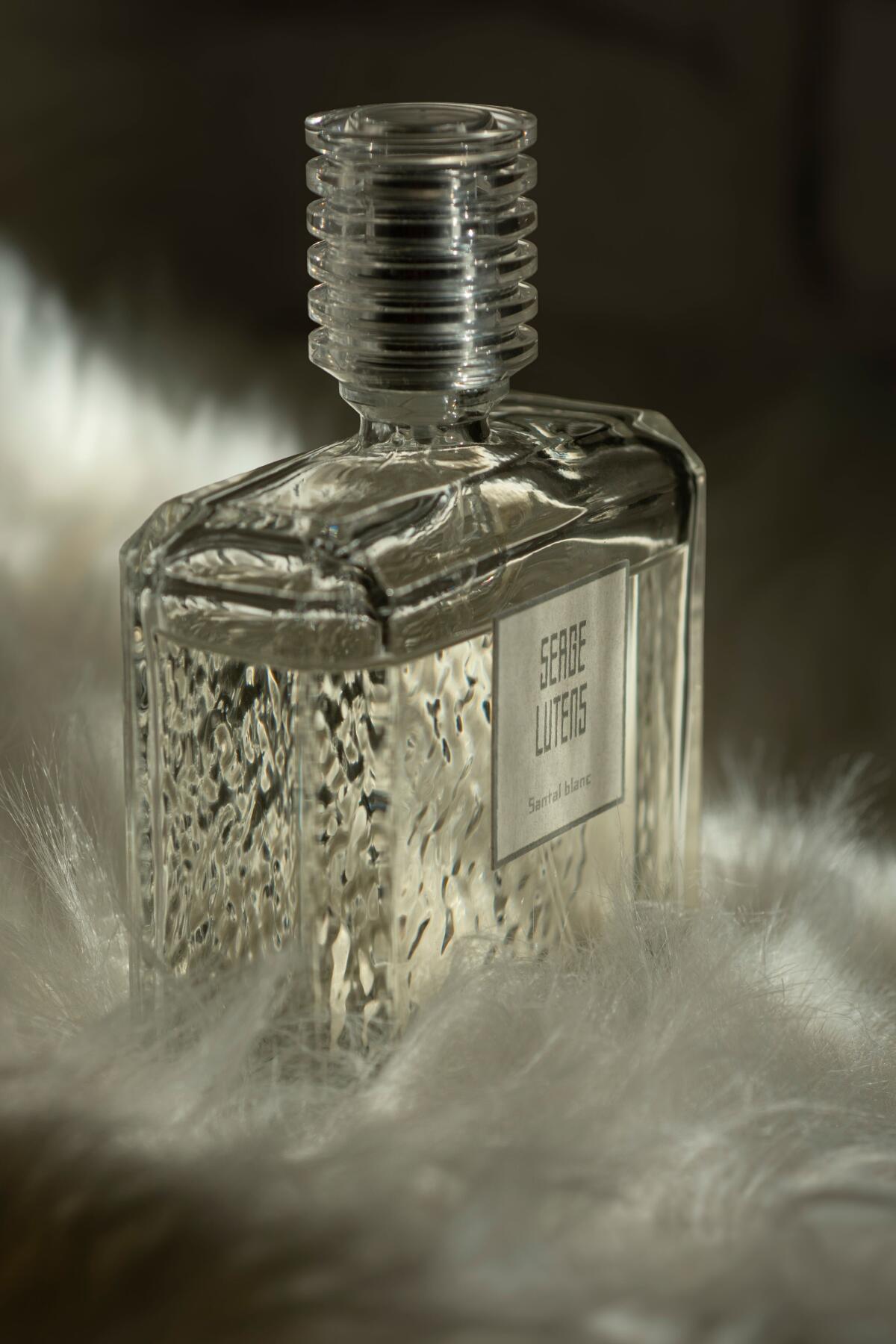 عطر ادکلن سانتال بلنک سرژ لوتن - Santal Blanc Serge Lutens - بررسی، قیمت و خرید