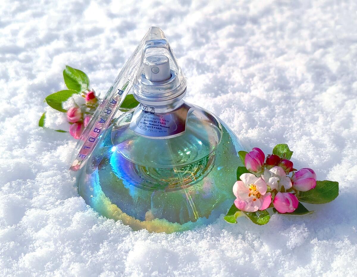 عطر ادکلن پَرابُل ساکسس دو پاریس - Parabole Succes de Paris - بررسی، قیمت و خرید
