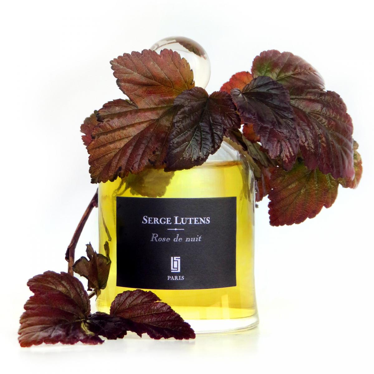 عطر ادکلن روز د نویی سرژ لوتنس - Rose de Nuit Serge Lutens - بررسی، قیمت و خرید