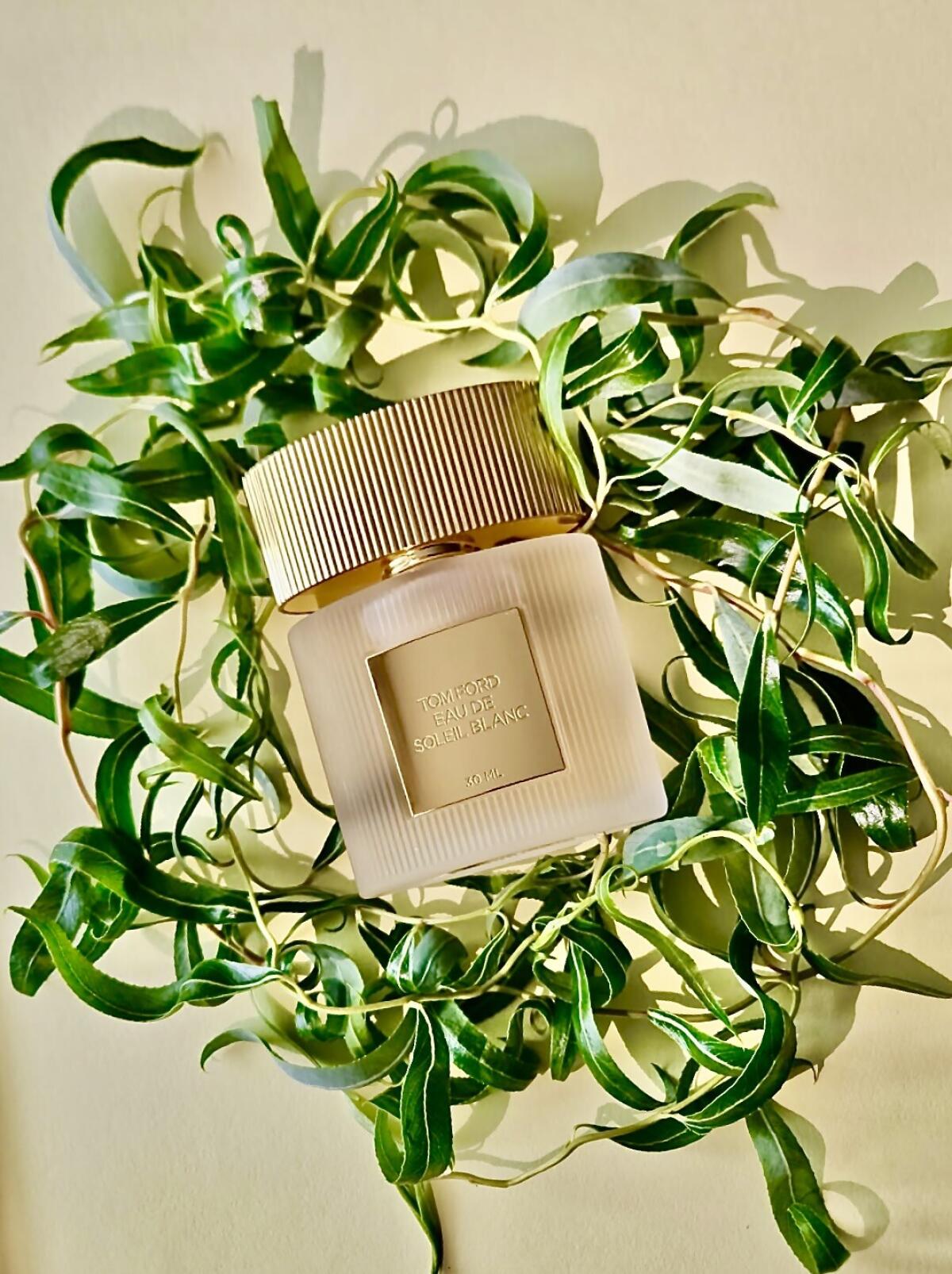 عطر ادکلن اُ دو سوله بلانک ۲۰۲۵ تام فورد - Eau de Soleil Blanc 2025 Tom Ford - بررسی، قیمت و خرید