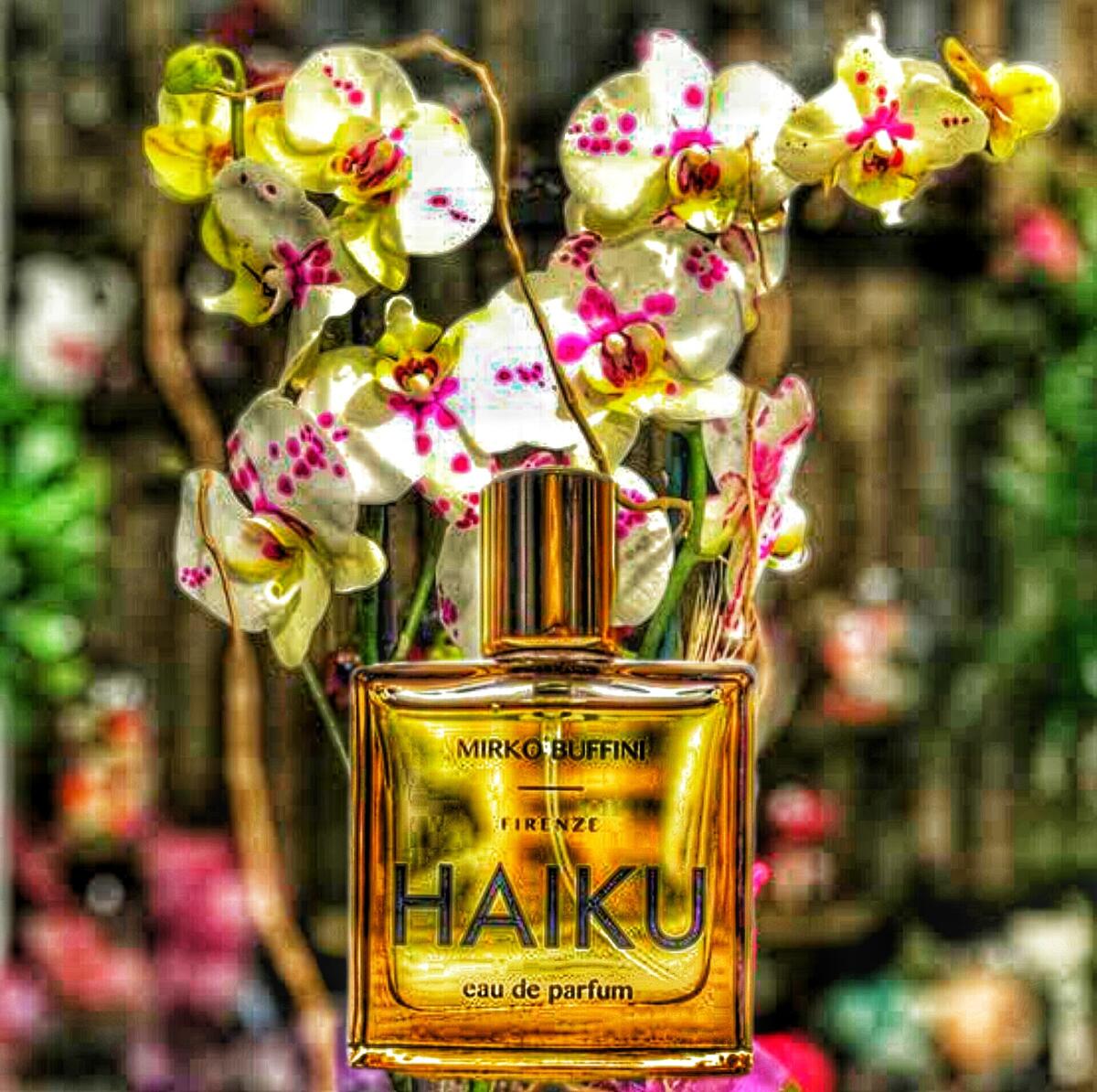 عطر ادکلن هایکو میرکو بوفینی فیرنزه - Haiku Mirko Buffini Firenze - بررسی، قیمت و خرید