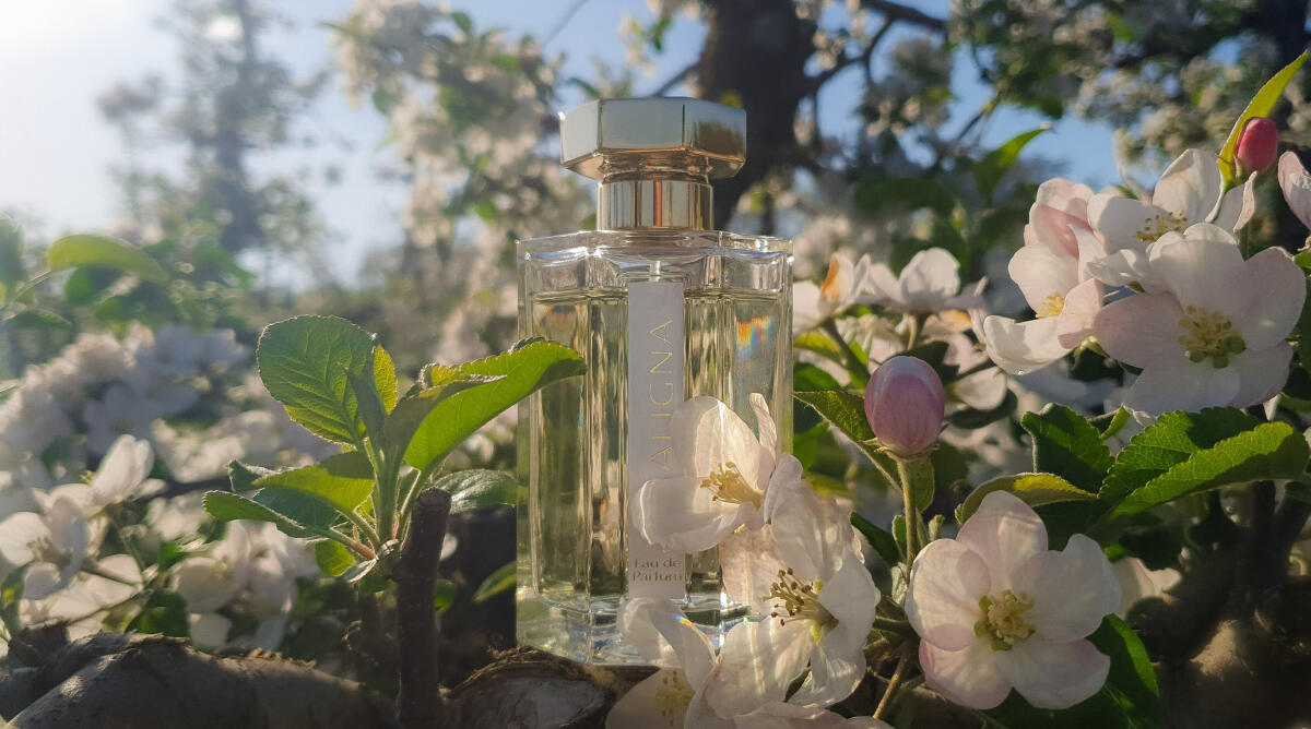 عطر ادکلن کالینا لارتیزان پرفیومر - Caligna L'Artisan Parfumeur - بررسی، قیمت و خرید