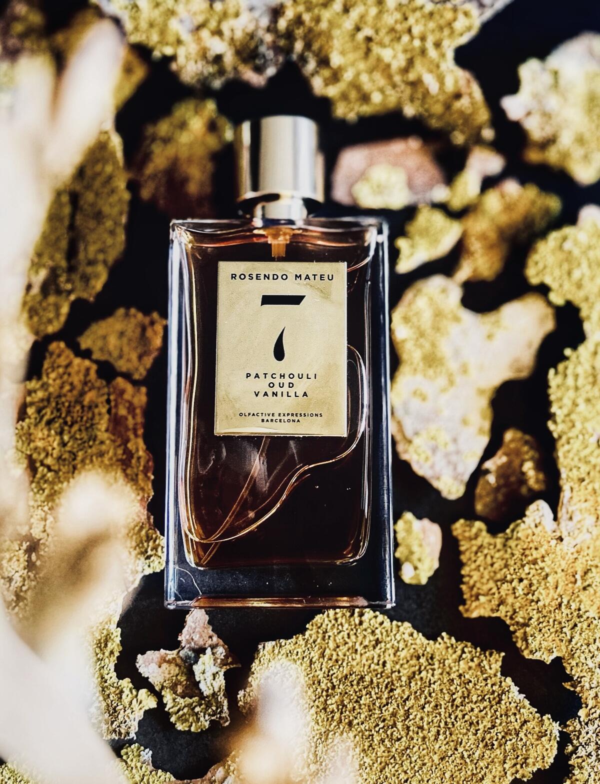 عطر ادکلن رزندو ماتیو شماره ۷ پچولی، عود، وانیلا روزندو ماتئو الفکتیو اکسپرشنز - Rosendo Mateu Nº 7 Patchouli, Oud, Vanilla Rosendo Mateu Olfactive Expressions - بررسی، قیمت و خرید