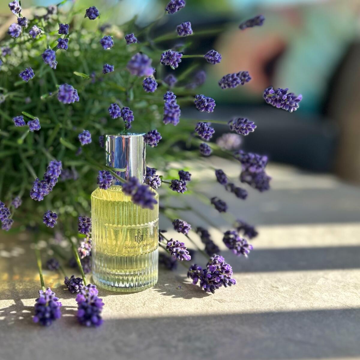 عطر ادکلن منانان سنتس آو من - Manannan Scents of Man - بررسی، قیمت و خرید