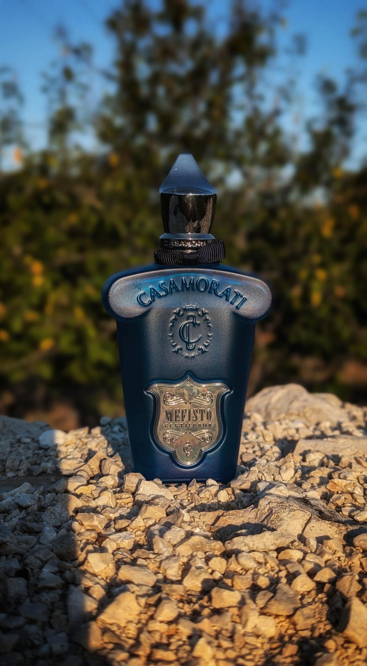عطر ادکلن مفیستو جنتیلوئومو زرجوف - Mefisto Gentiluomo Xerjoff - بررسی، قیمت و خرید
