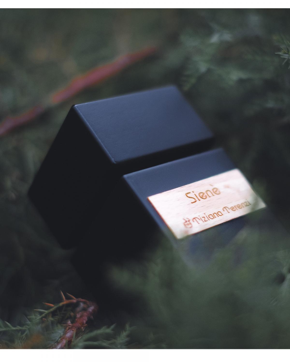 عطر ادکلن سین تیزیانا ترنزی - Siene Tiziana Terenzi - بررسی، قیمت و خرید