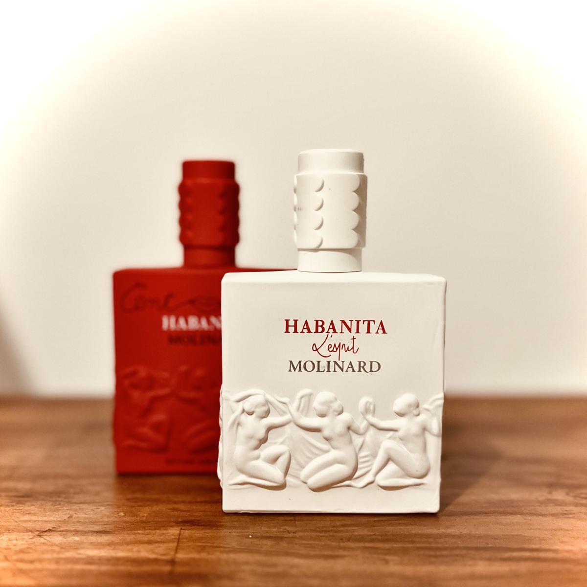 عطر ادکلن هابانیتا انیورسری ایدیشن مولینارد - Habanita Anniversary Edition Molinard - بررسی، قیمت و خرید
