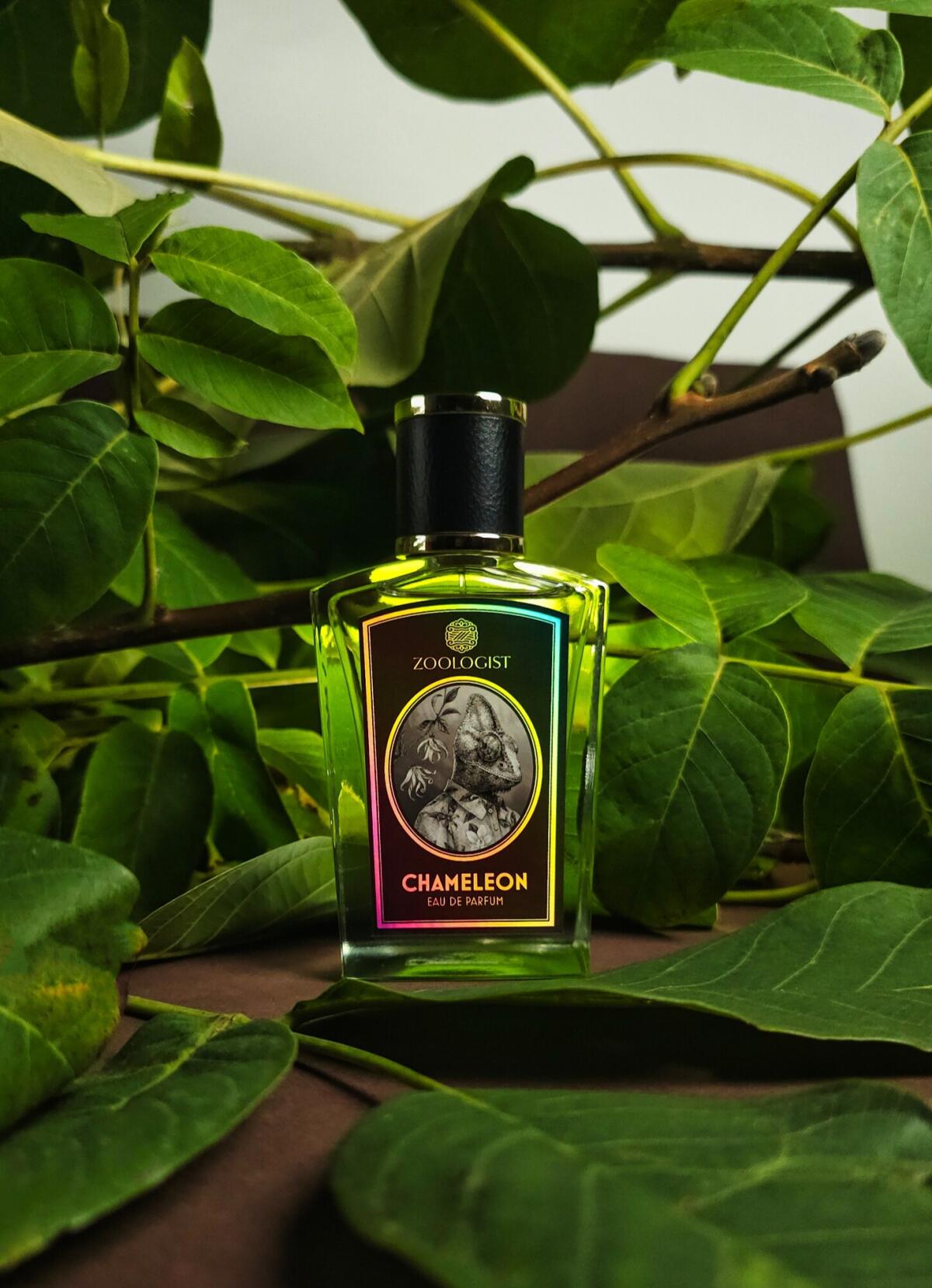 عطر ادکلن کملیون زولوژیست پرفیومز - Chameleon Zoologist Perfumes - بررسی، قیمت و خرید