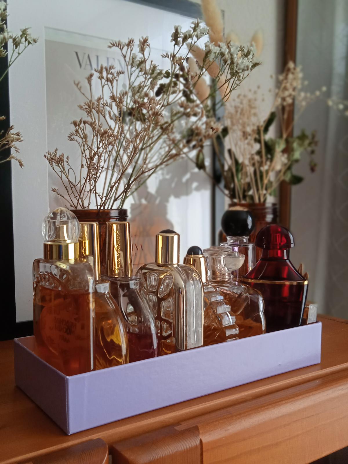 عطر ادکلن سکره دو روشا اود میستر روچاس - Secret de Rochas Oud Mystère Rochas - بررسی، قیمت و خرید