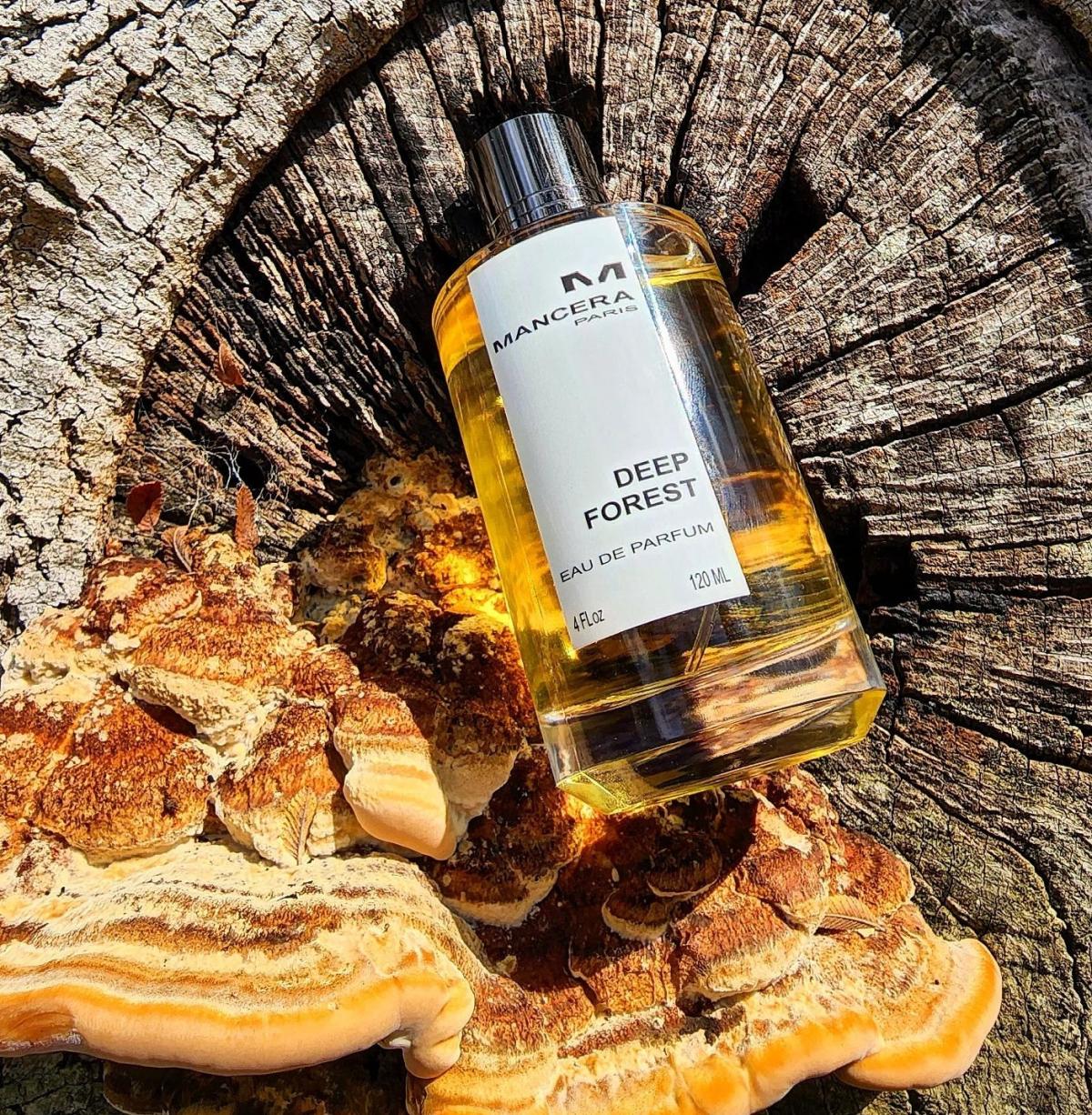 عطر ادکلن دیپ فورست منسرا - Deep Forest Mancera - بررسی، قیمت و خرید