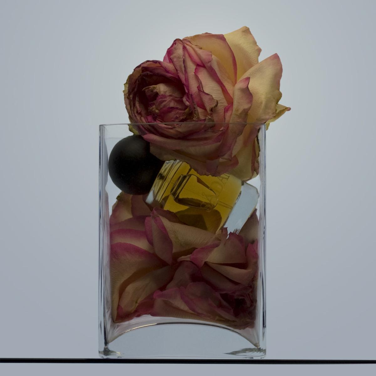 عطر ادکلن سدَن اسلمبرهاوس - Sadanne Slumberhouse - بررسی، قیمت و خرید