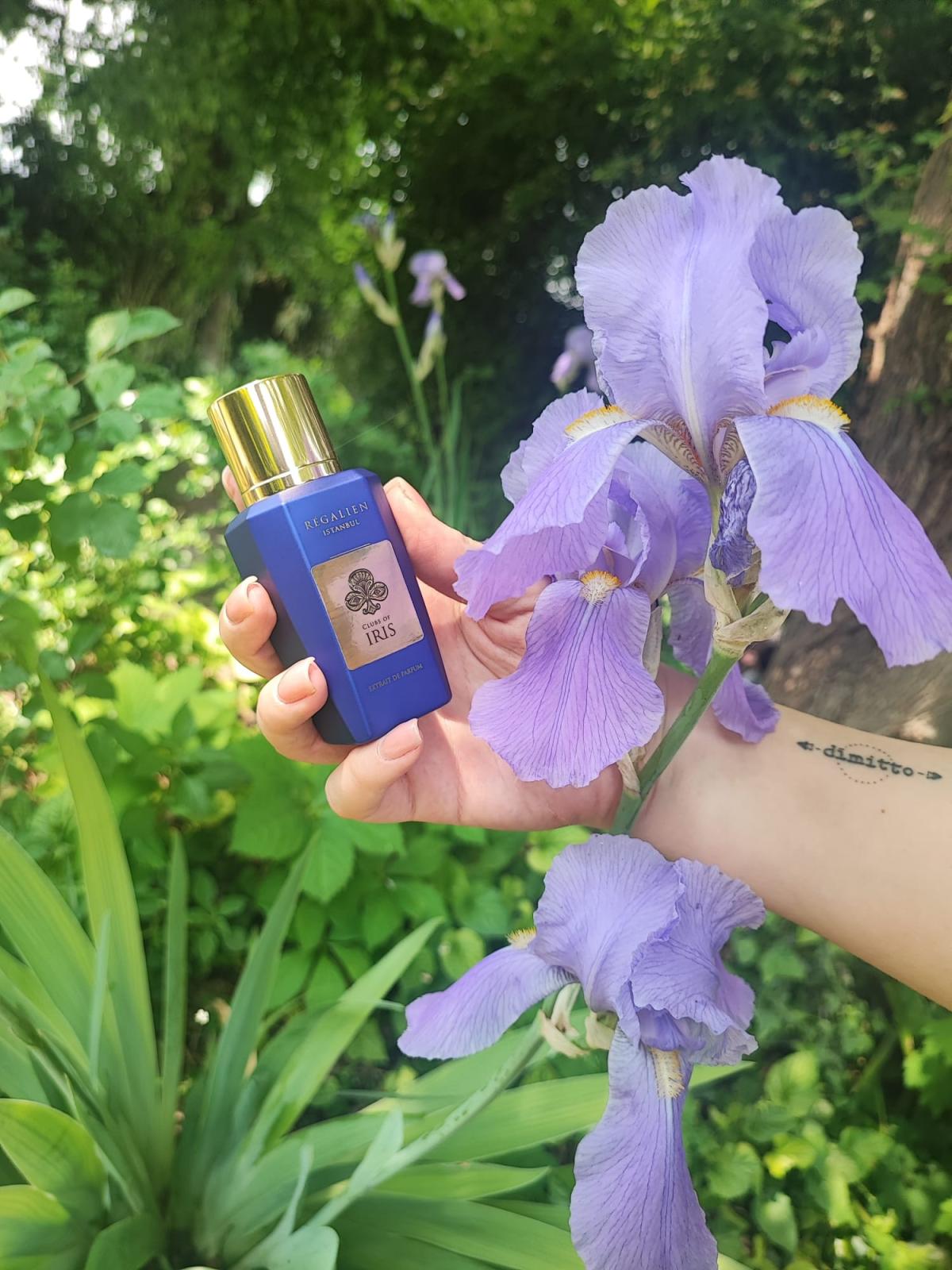 عطر ادکلن کلابز آو آیریس ریگالیِن - Clubs Of Iris Regalien - بررسی، قیمت و خرید