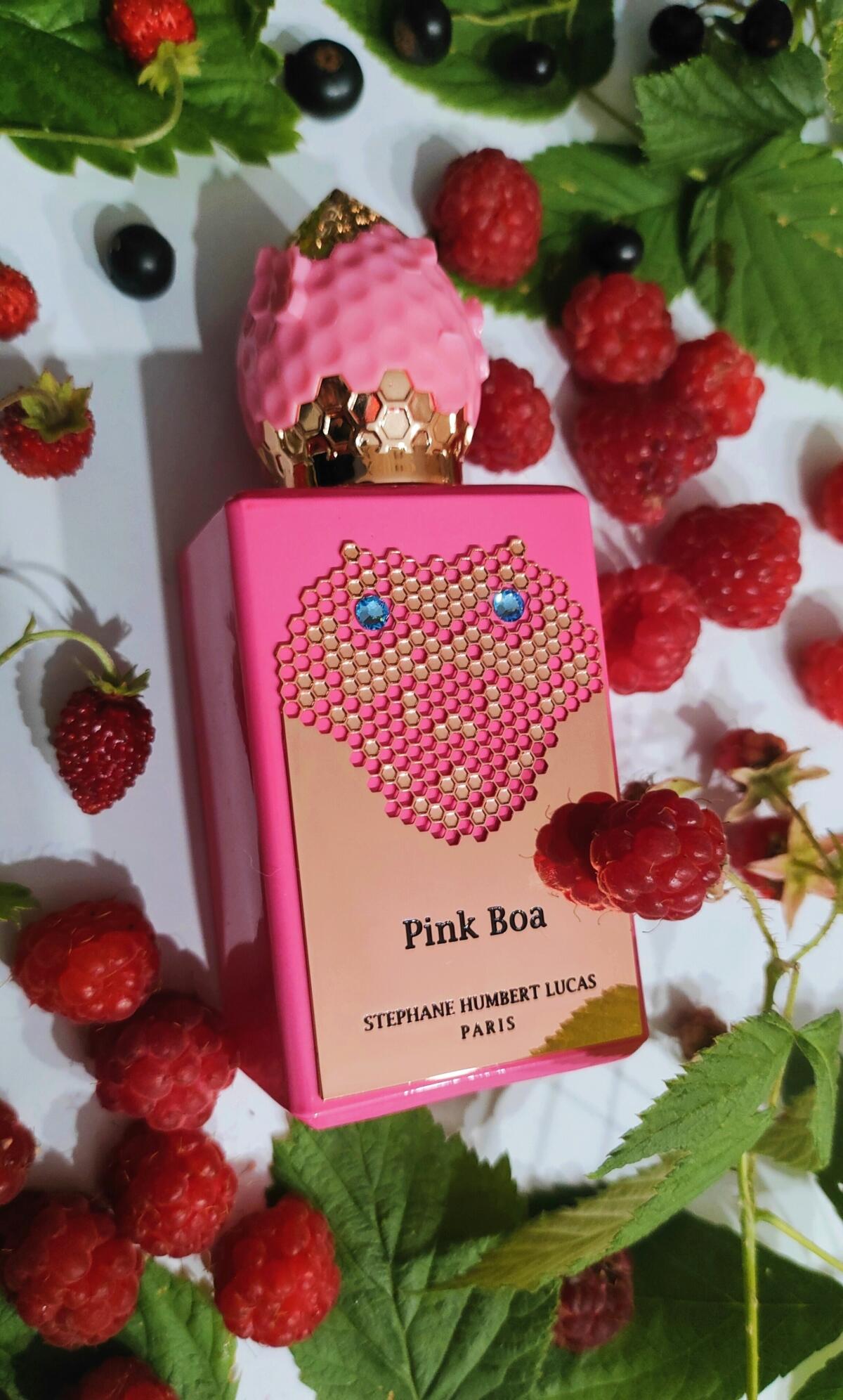 عطر ادکلن پینک بوا استفان هامبرت لوکاس ۷۷۷ - Pink Boa Stéphane Humbert Lucas 777 - بررسی، قیمت و خرید