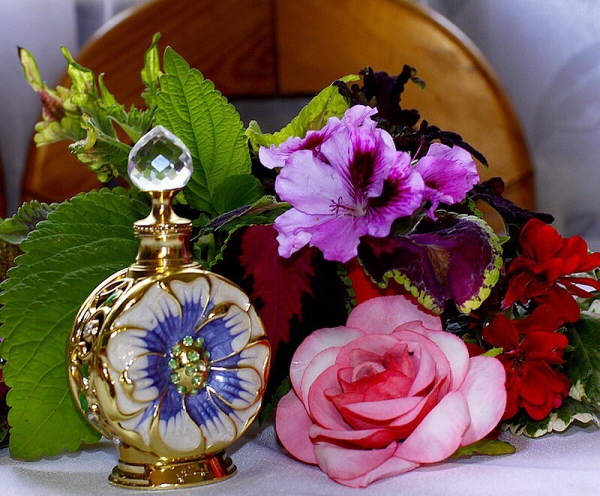 عطر ادکلن لایالی سوییس عربین - Layali Swiss Arabian - بررسی، قیمت و خرید