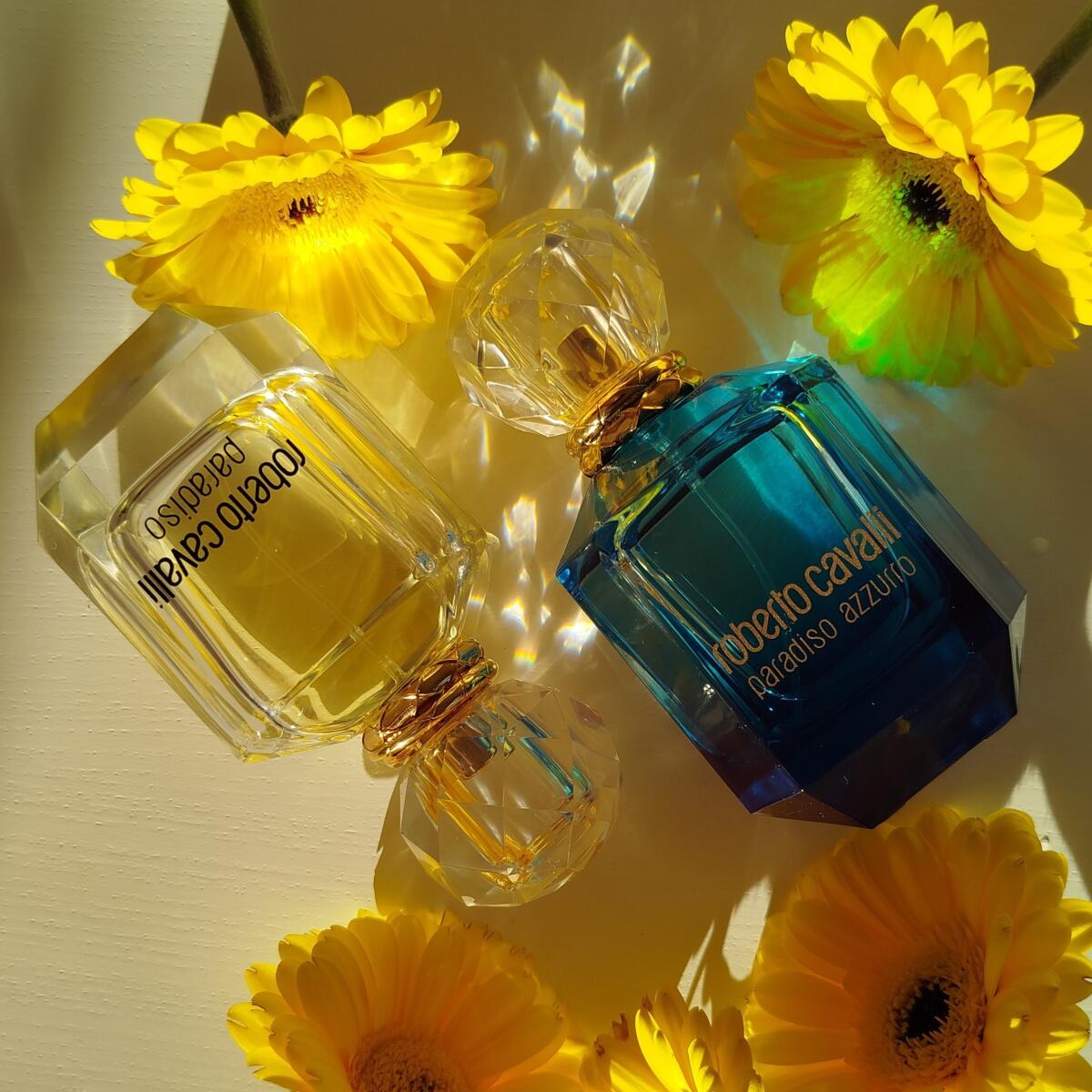 عطر ادکلن پردیسو روبرتو کاوالی - Paradiso Roberto Cavalli - بررسی، قیمت و خرید