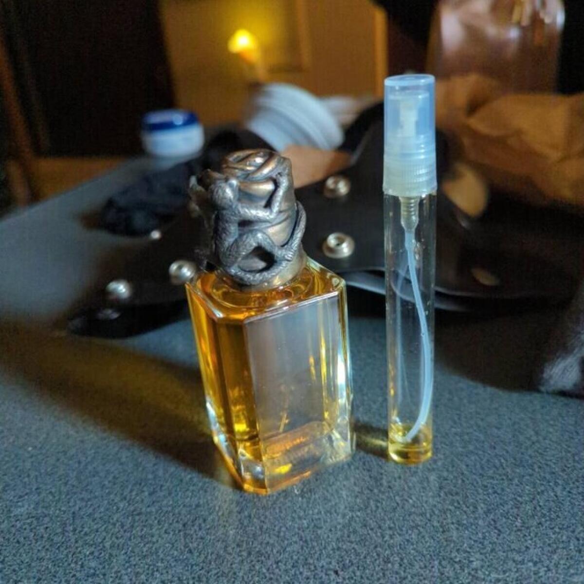 عطر ادکلن لمیلند ریک اوونز - Lamyland Rick Owens - بررسی، قیمت و خرید