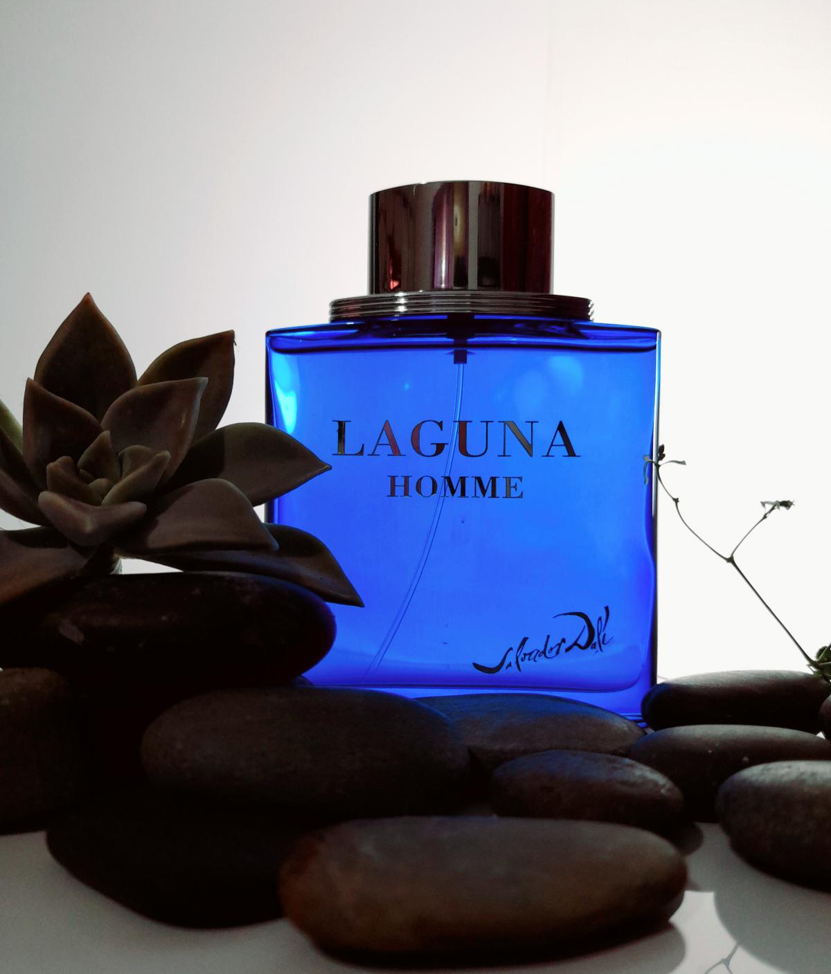 عطر ادکلن لاگونا هوم سالوادور دالی - Laguna Homme Salvador Dali - بررسی، قیمت و خرید
